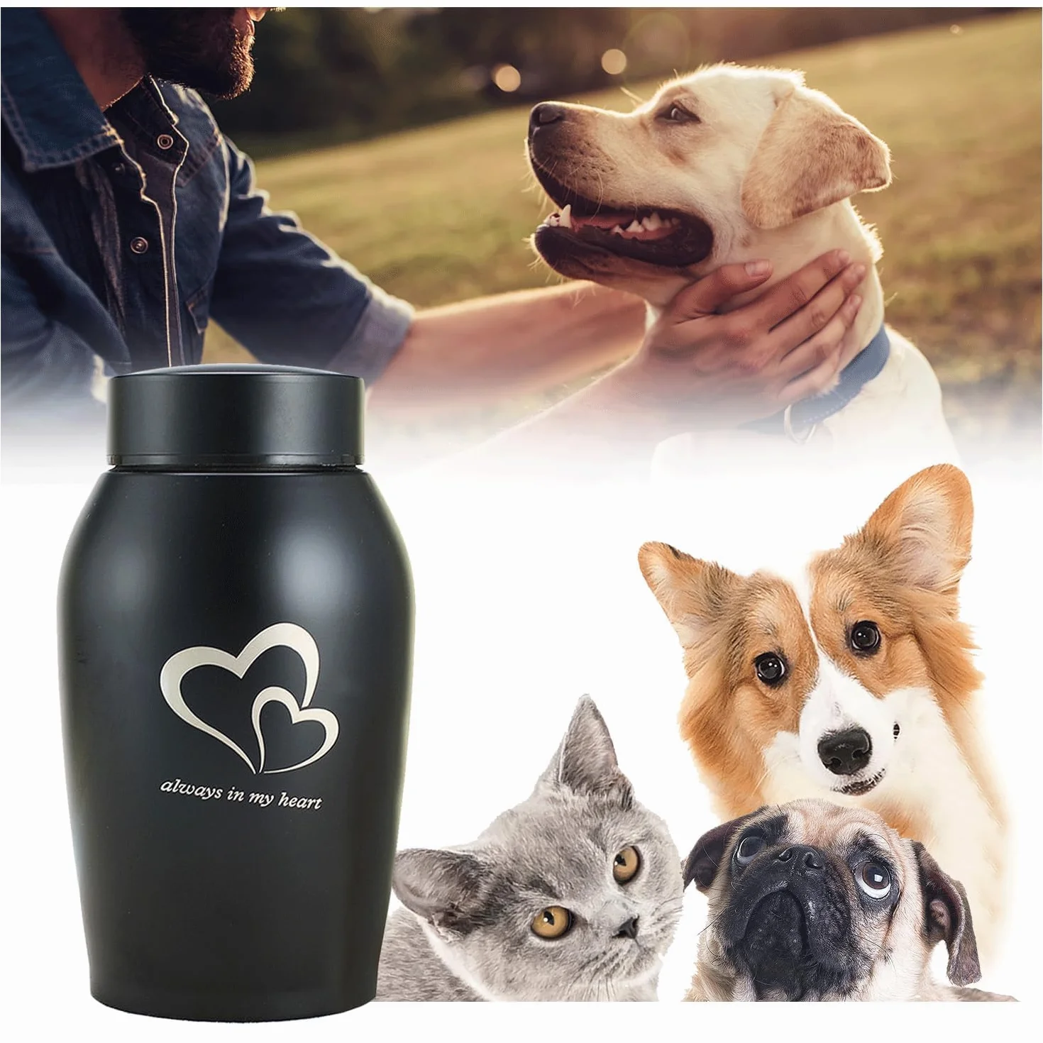 Urne commémorative en acier inoxydable pour animaux de compagnie, chiens et chats (Noir)