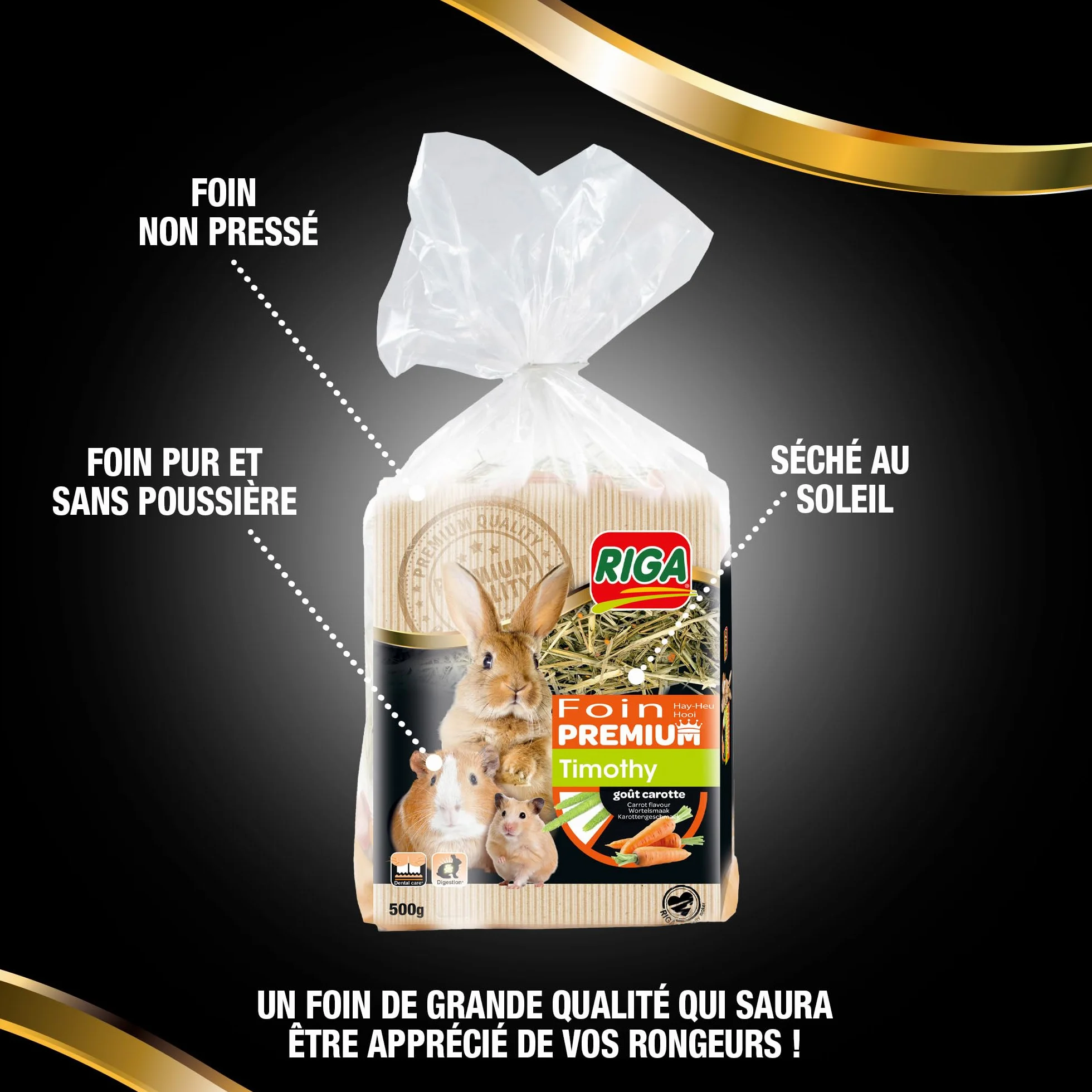 Foin Premium Timothy à la Carotte pour Rongeurs 500 g