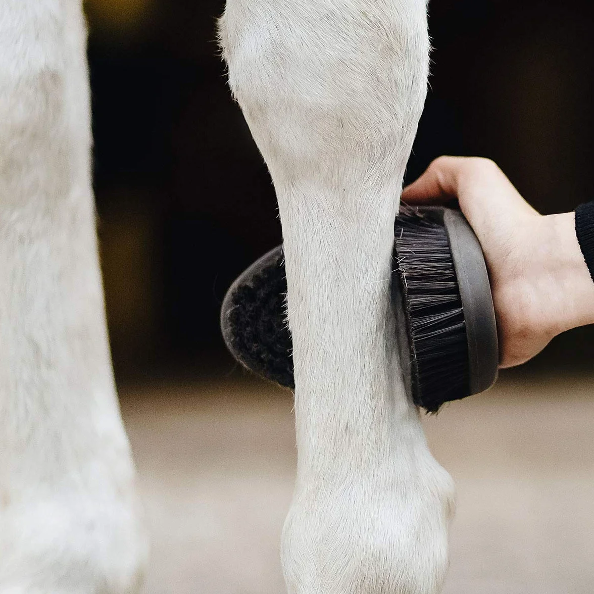 Brosse pour Chevaux CareFlex Animalon Flexible Ergonomique Velcro Kit Pansage Accessoires Nettoyage Équidés