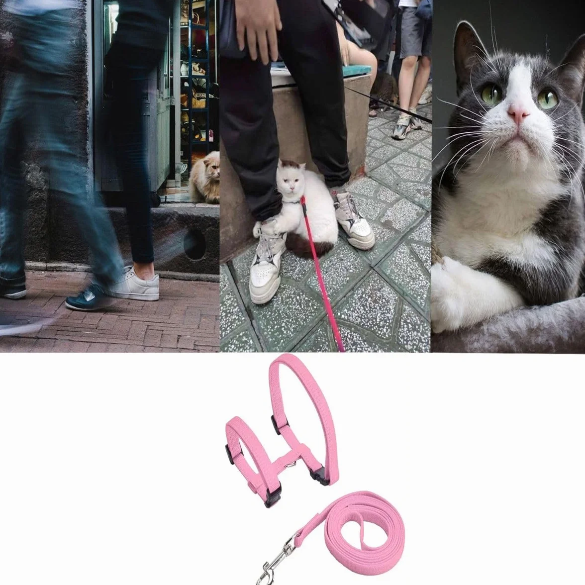 Lot de 2 Harnais réglables en Nylon pour Chat avec Laisse, Bleu et Rose