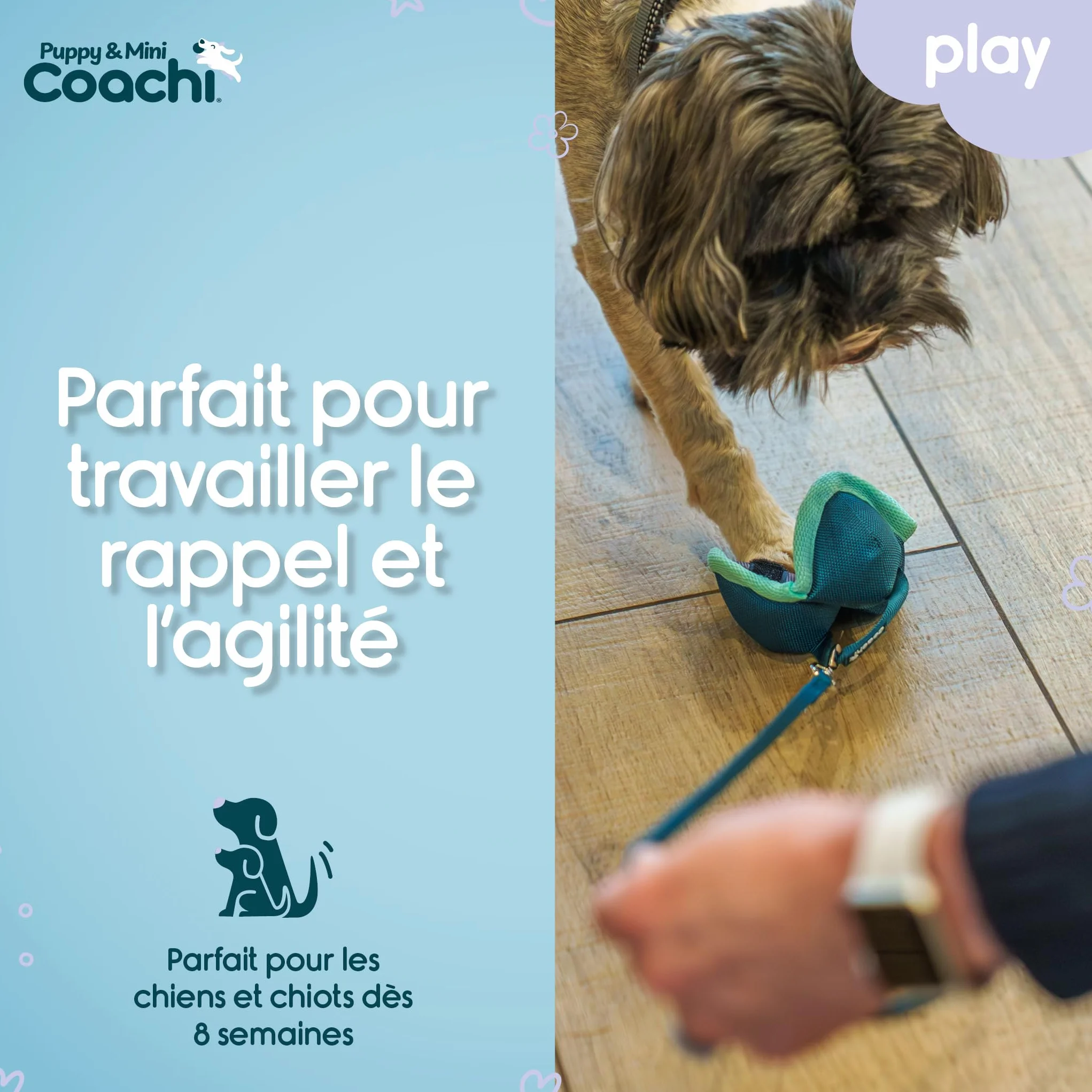 Coachi Chase & Treat pour Chiens et Chiots - Jeux de Poursuite, éducation à Distance et agilité