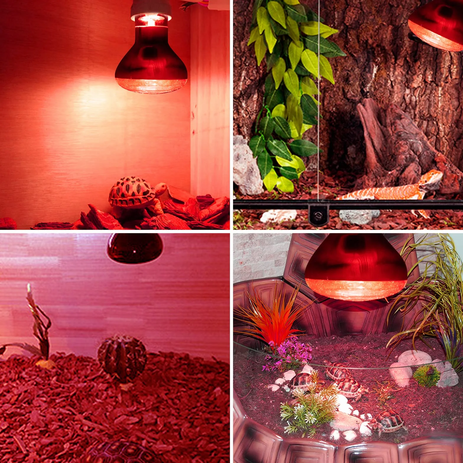 Bonlux 50W Lampe Chauffante Infrarouge Dimmable E27 R63 UVA+UVB AC 220-240V pour Reptiles (2Pcs)