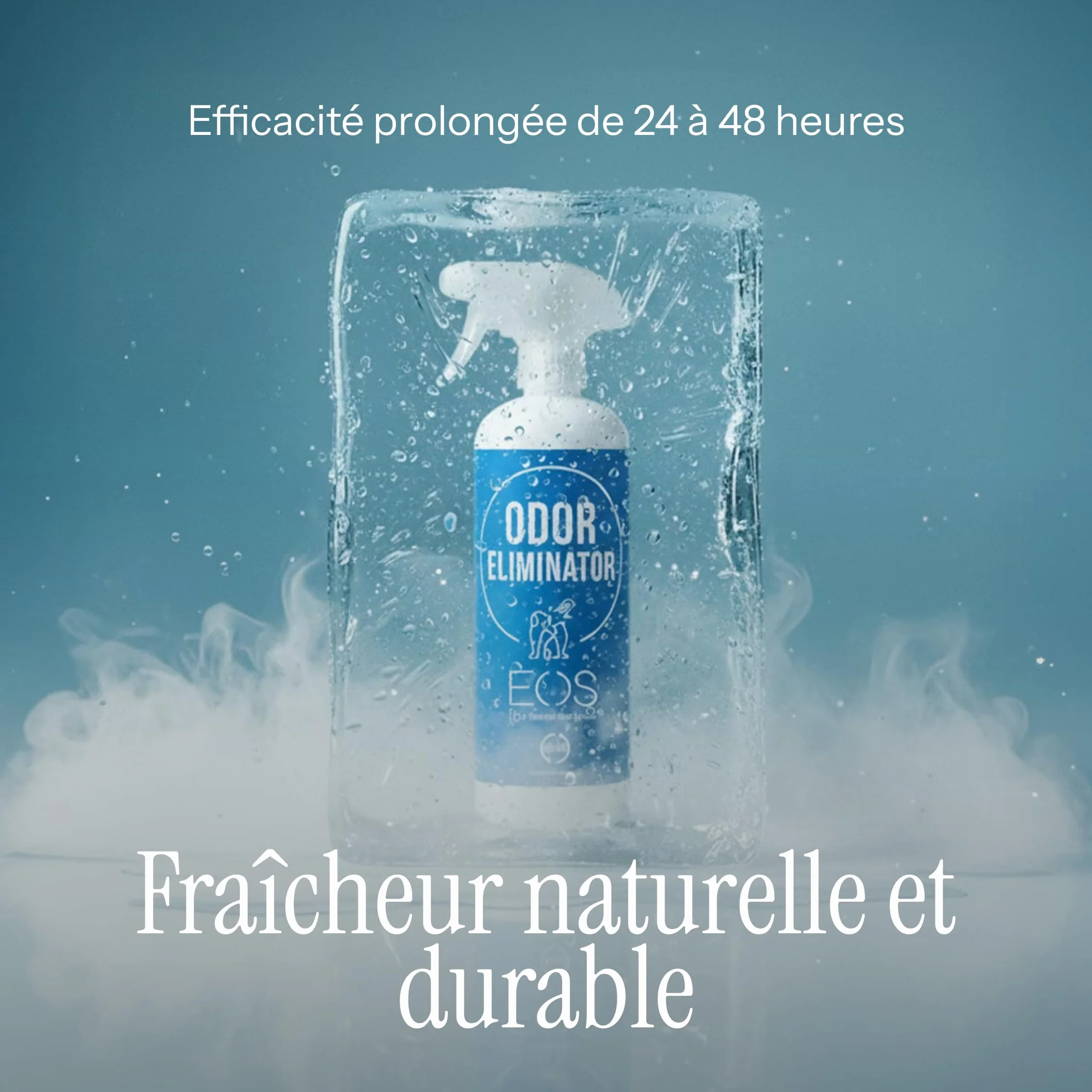 EOS Nettoyeur d'urine enzymatique 1 litre élimine les odeurs d'animaux