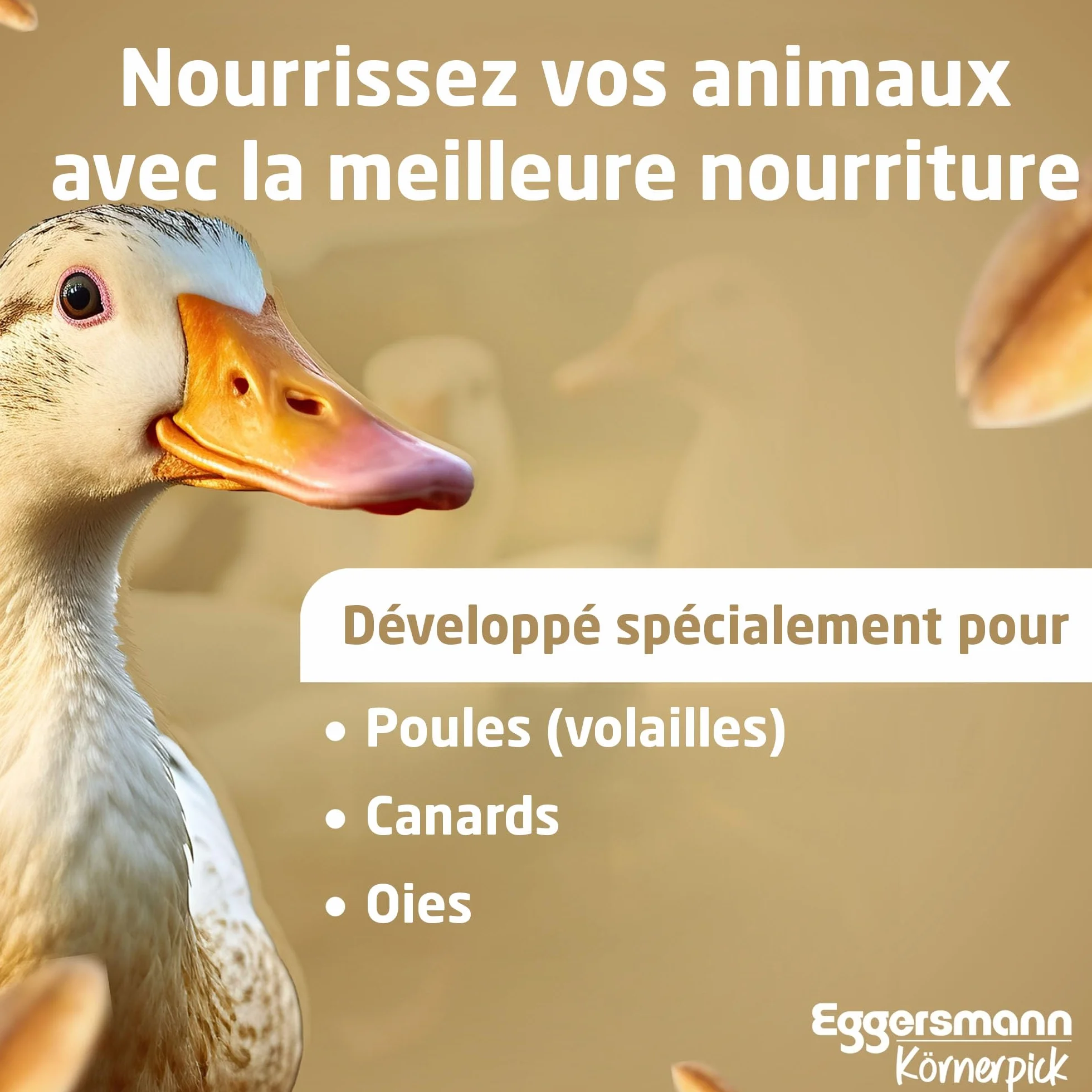 Eggersmann Nourriture Poule 25 kg Basic Aliments Graines Premium pour Poules, oies & canards