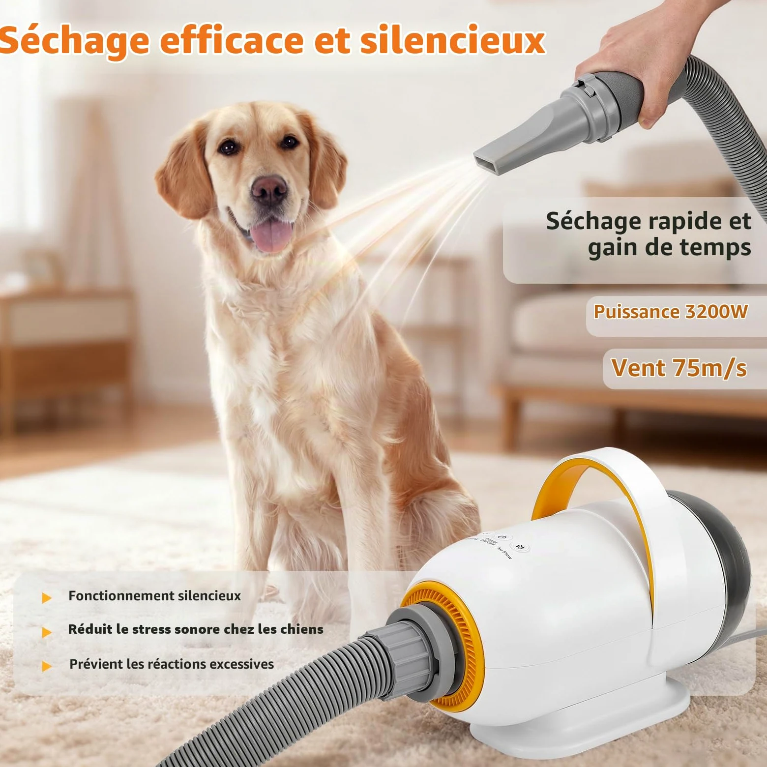Sèche-chien 3200 W pour animaux de compagnie avec 7 vitesses, souffleur avec 4 embouts, sèche-cheveux pour chien avec fonction air chaud et froid, kit de toilettage pour chiens et chats