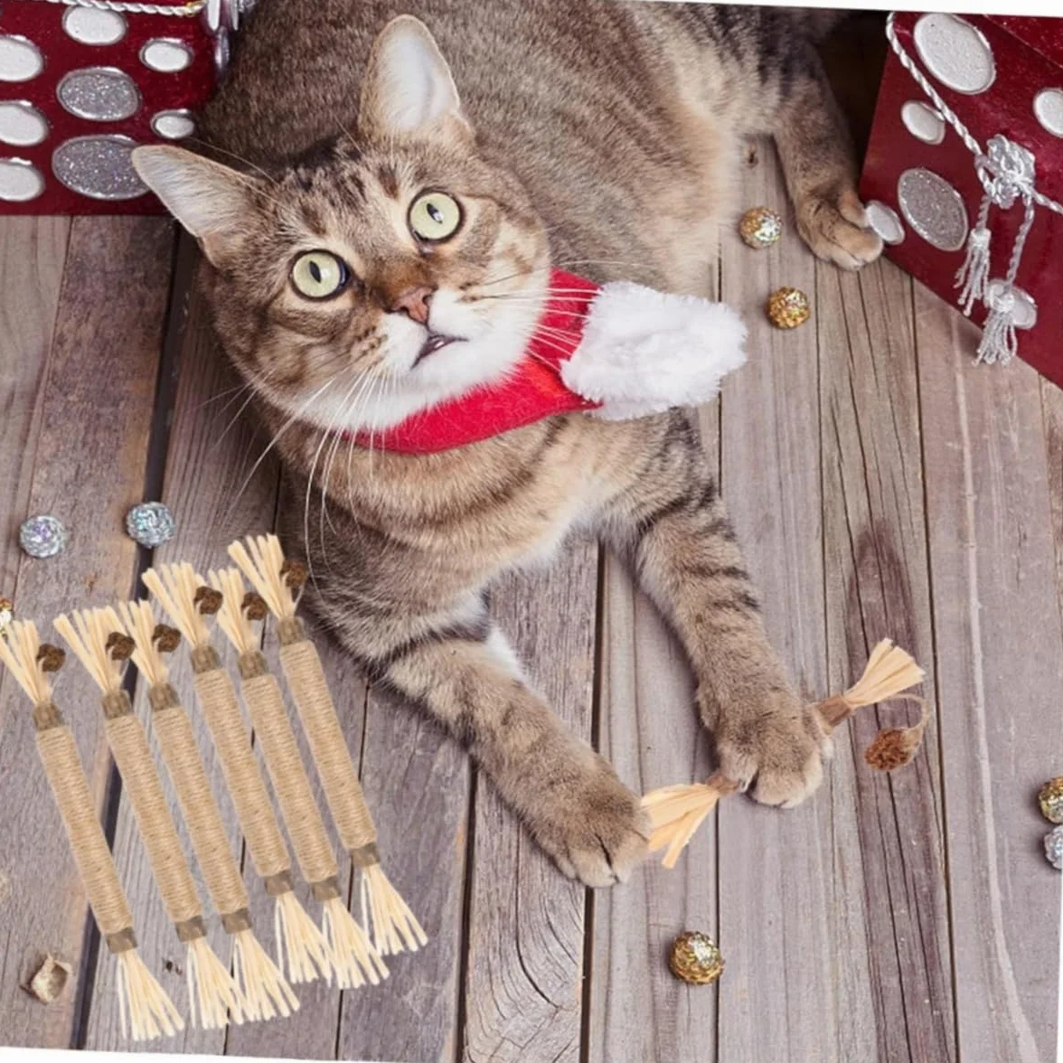 Bâtonnets Herbe à Chat Naturels 6 Pièces Jouet Interactif Nettoyage des Dents Anti-Tartre