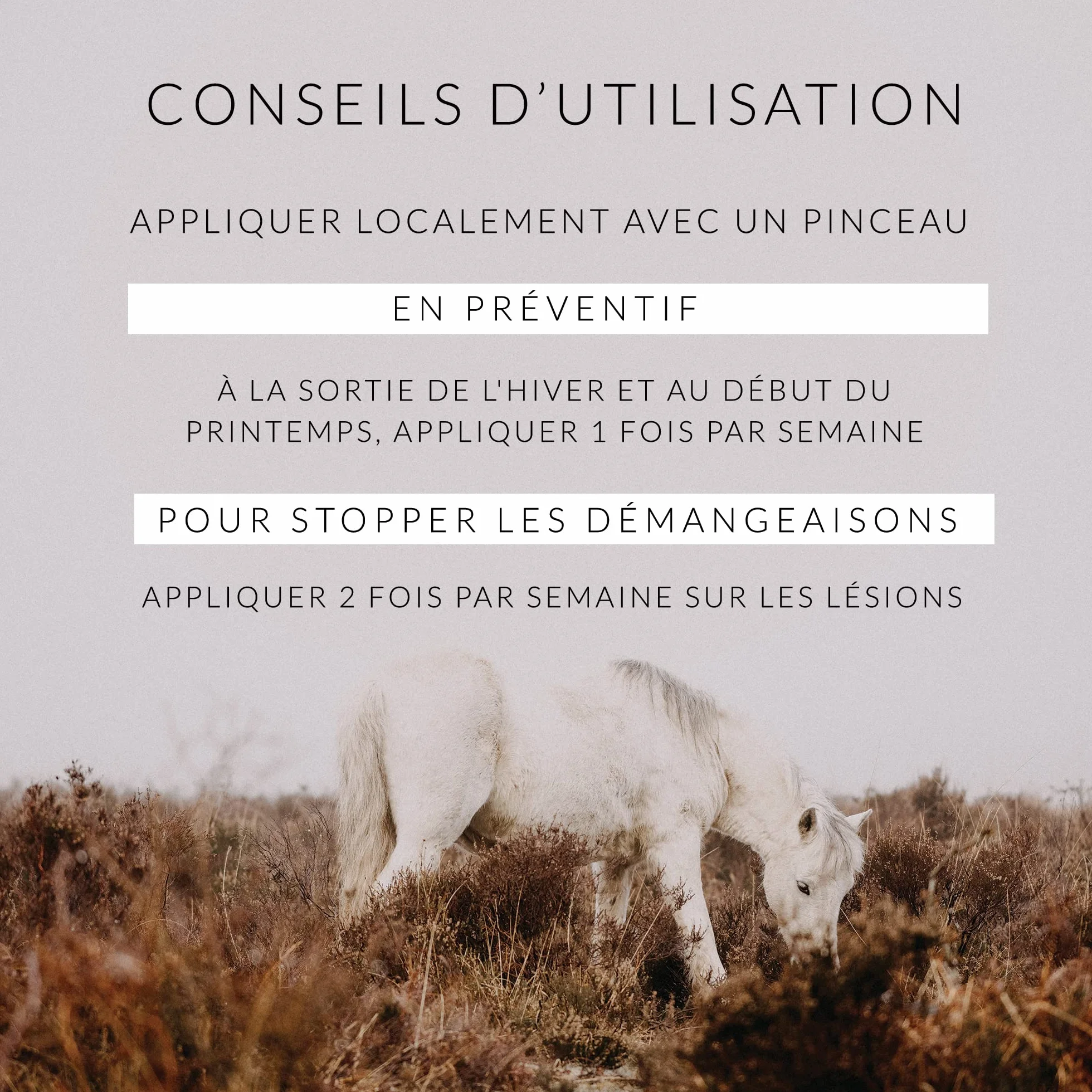 Huile de Cade pour Chevaux Soin de la Dermite 500g Fabriquée Distillée en France