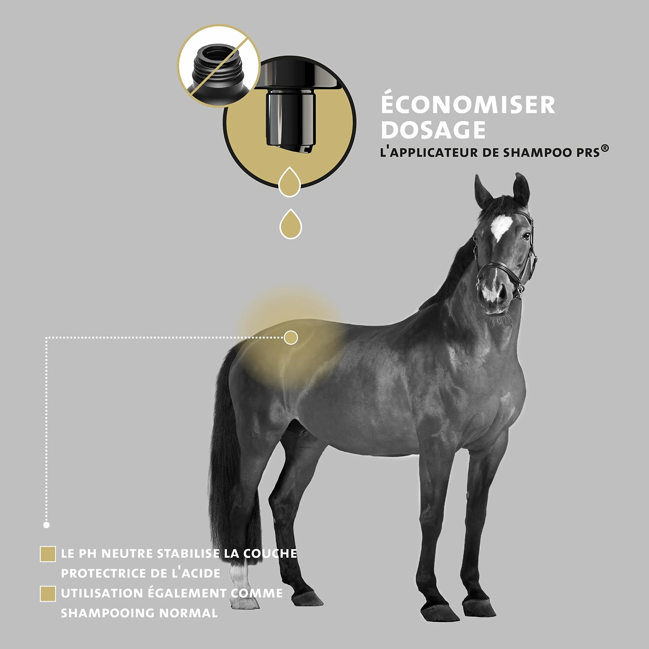 Peticare Shampoing Anti-Acariens Anti-Puces Chevaux Soin Peau Sensible