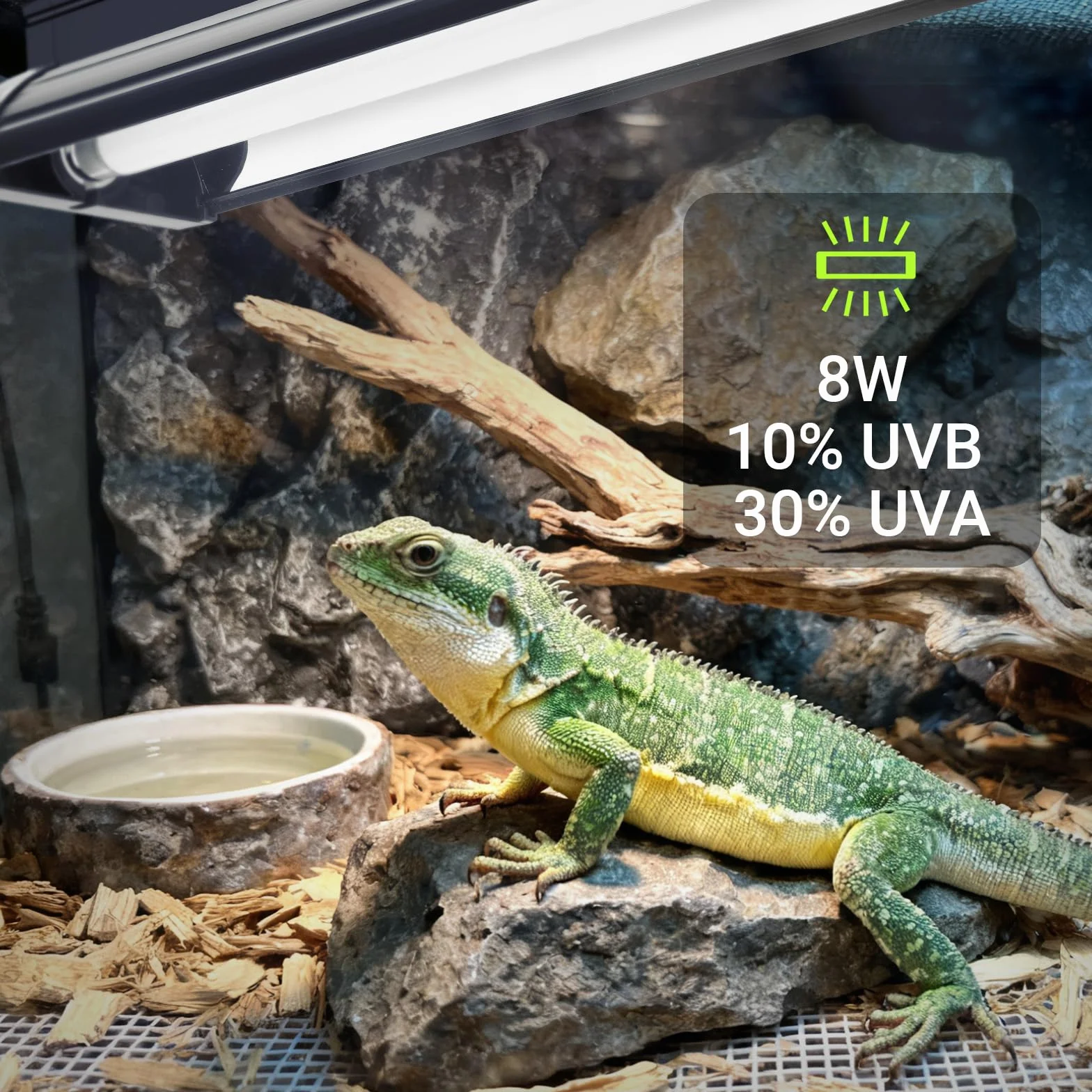 Kit Lumière UVB T5 8W pour Reptiles, 10% UVB & 30% UVA, Fixture 31,5 cm avec Tube UVB T5 10.0