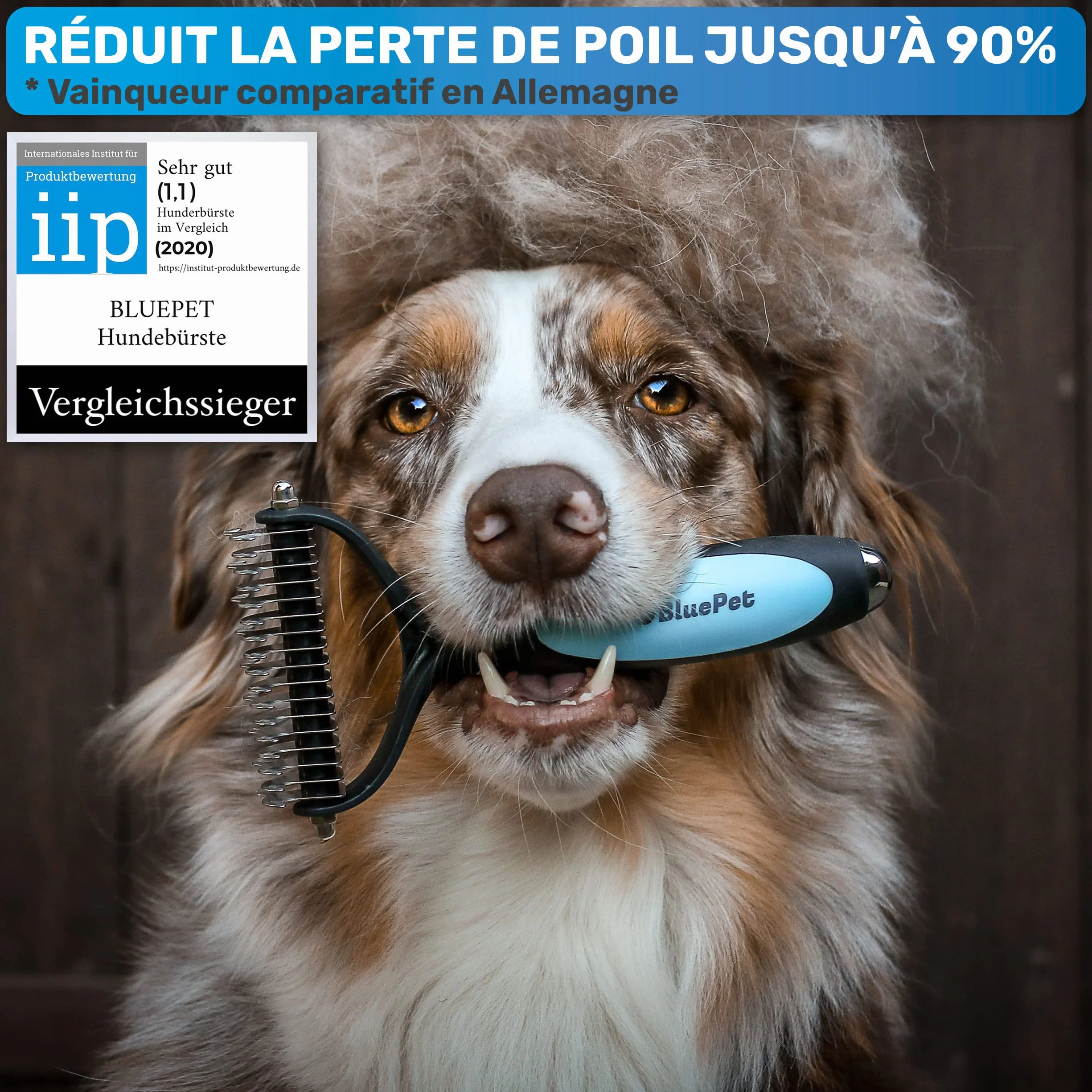 BluePet Brosse Chiens Chats Poil Long Peigne Démêlage Professionnel Sous Poil Nœuds Étrille Démêlant Râteau Toilettage
