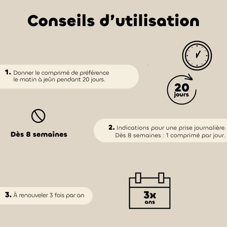 Biovetol Probiotique Comprimés Regul'Transit Complément Alimentaire Spécial Transit Chien Lot de 3