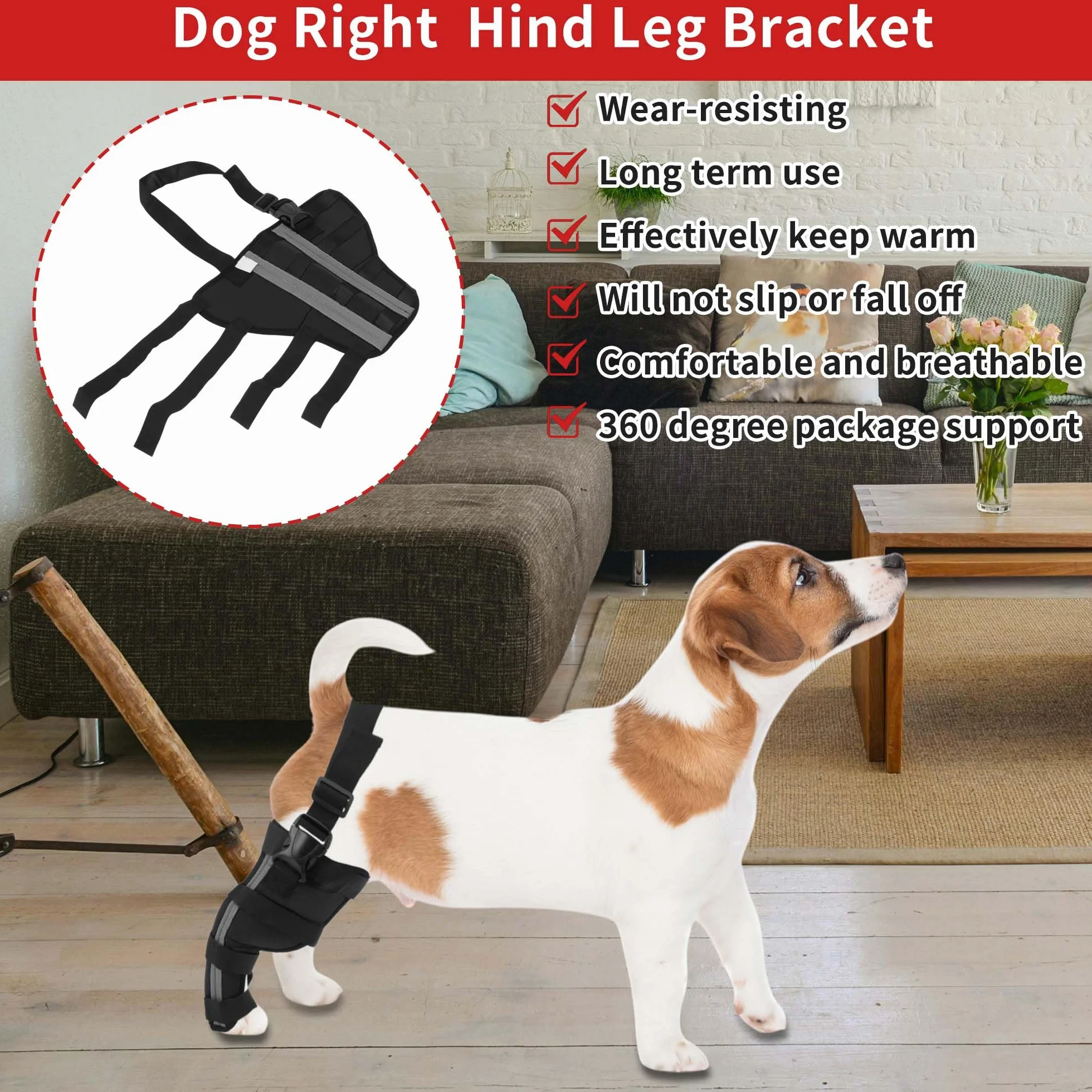 Genouillères Chien Support Jambe Arrière Droit, Bandage Respirante Articulaire, S, Noir