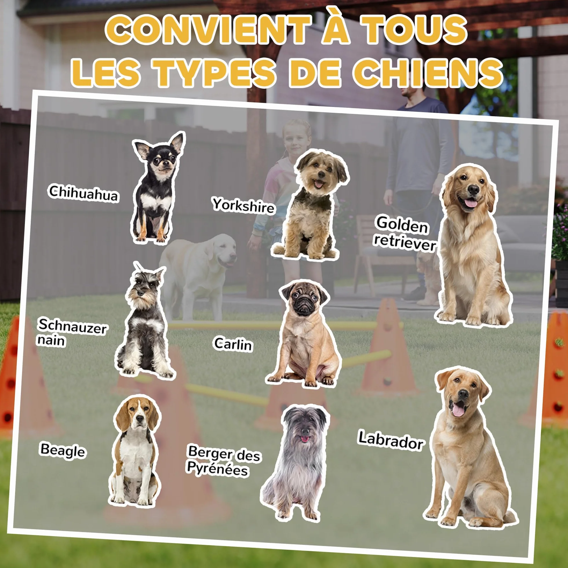 PawHut Ensemble d'Agilité pour Chien 6 Pièces avec Hauteur Réglable, Orange