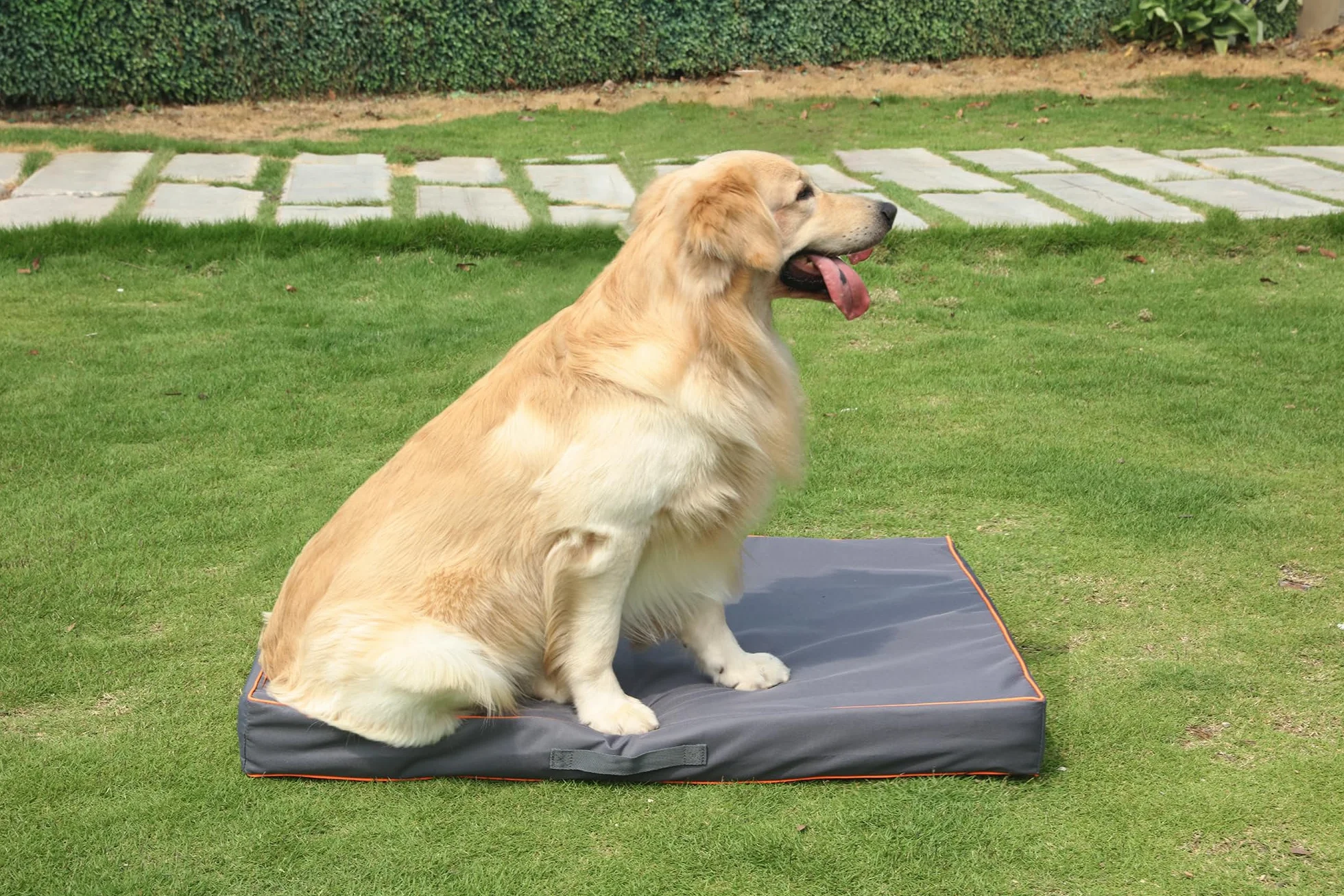 Leberna Housse protection universelle imperméable lavable Oxford pour lit chien Gris Taille L 111,8 x 81,3 x 10,2 cm