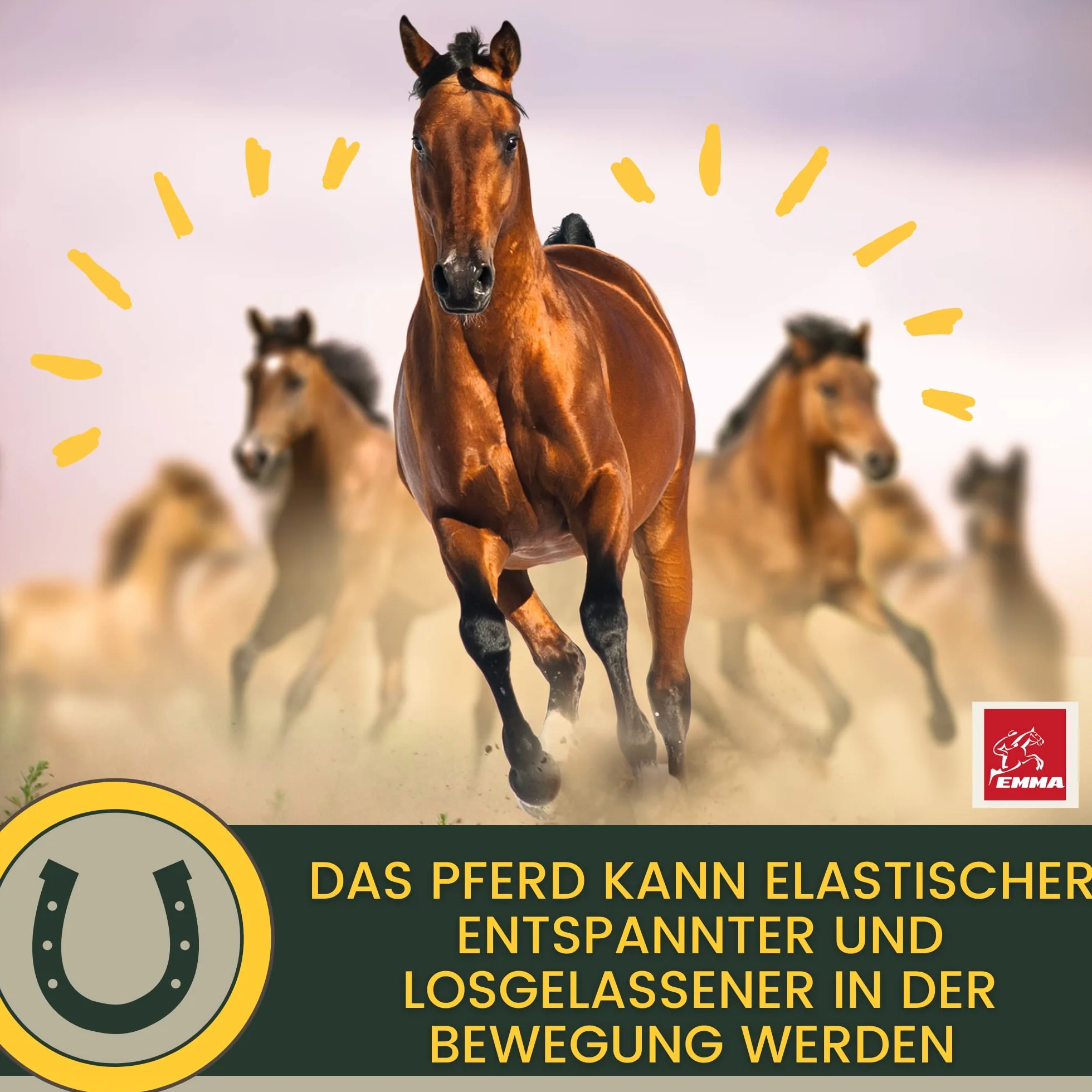 Pâte vitaminée cheval glucosamine chondroïtine haute dose appareil locomoteur articulations tendons ligaments