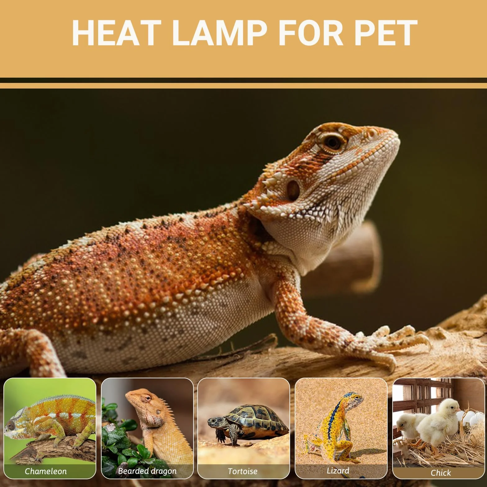 Caldarax Lot de 2 Ampoule Chauffante Reptile 50W AC 220V Basking Spot R80 UVA E27