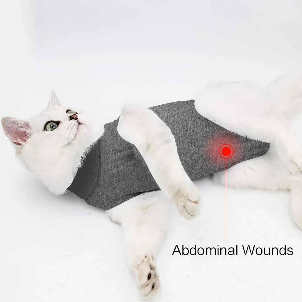 Dotoner Cat Professionnel Collerette Restauration pour Plaies et Maladies de la Peau, Alternative pour Chiens et Chats après Chirurgie