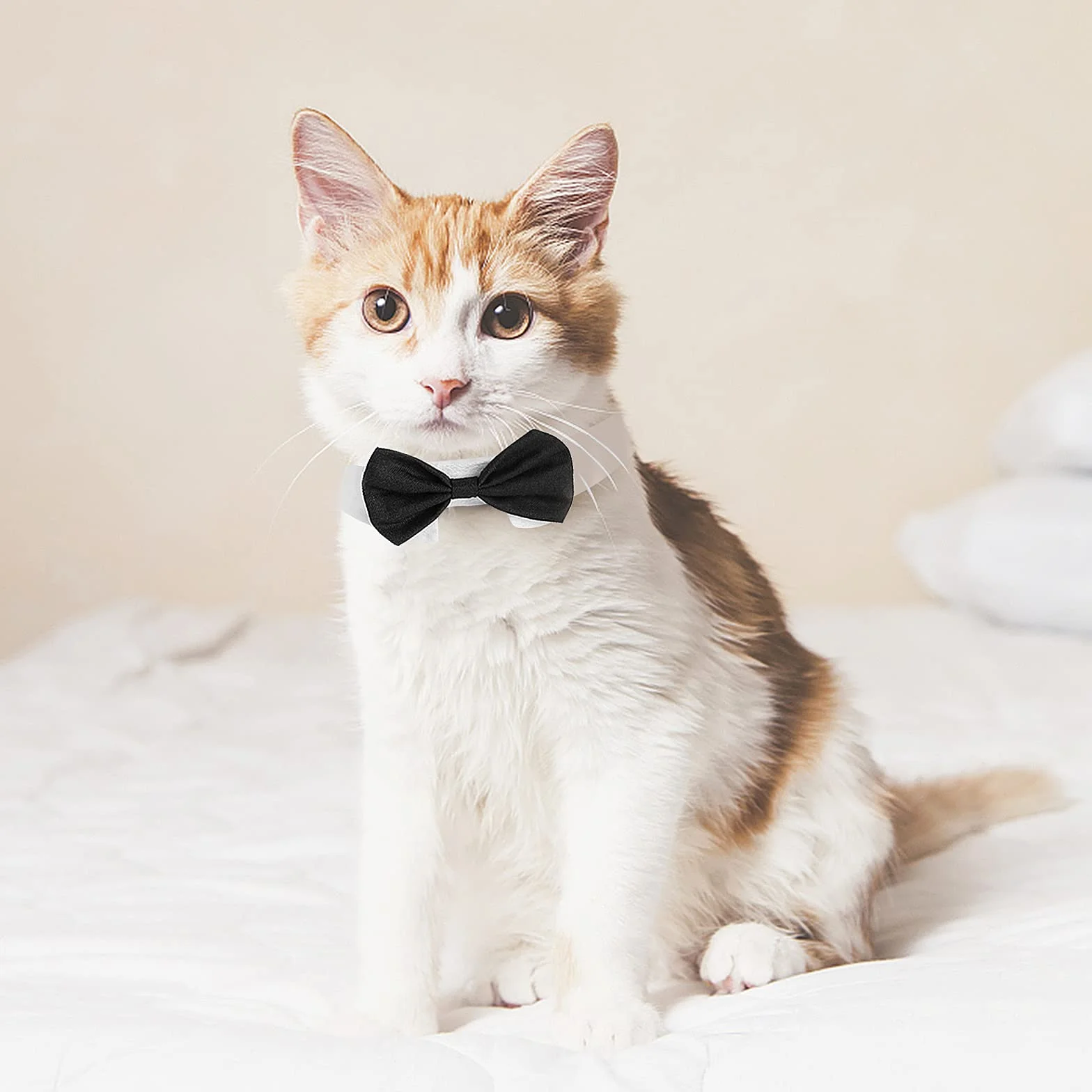 Lot de 2 colliers de smoking réglables pour chien et chat - Nœud papillon formel pour mariage