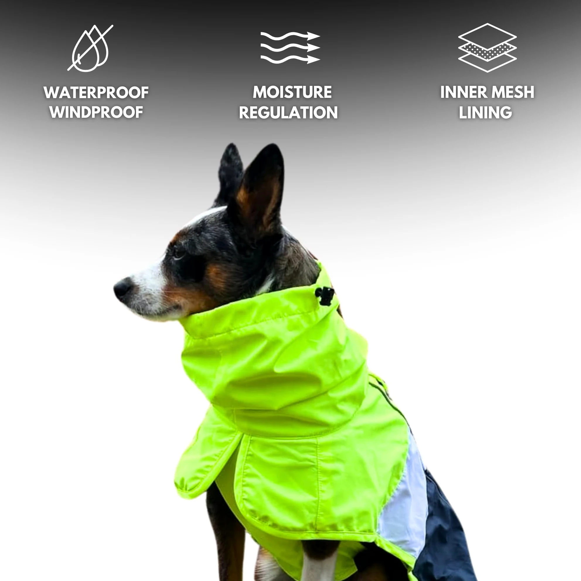 Spark Paws Manteau de pluie imperméable et coupe-vent pour chiens de petite, moyenne, grande et très grande taille, réfléchissant et respirant, couverture intégrale du corps – Blanc fluo, bleu marine,