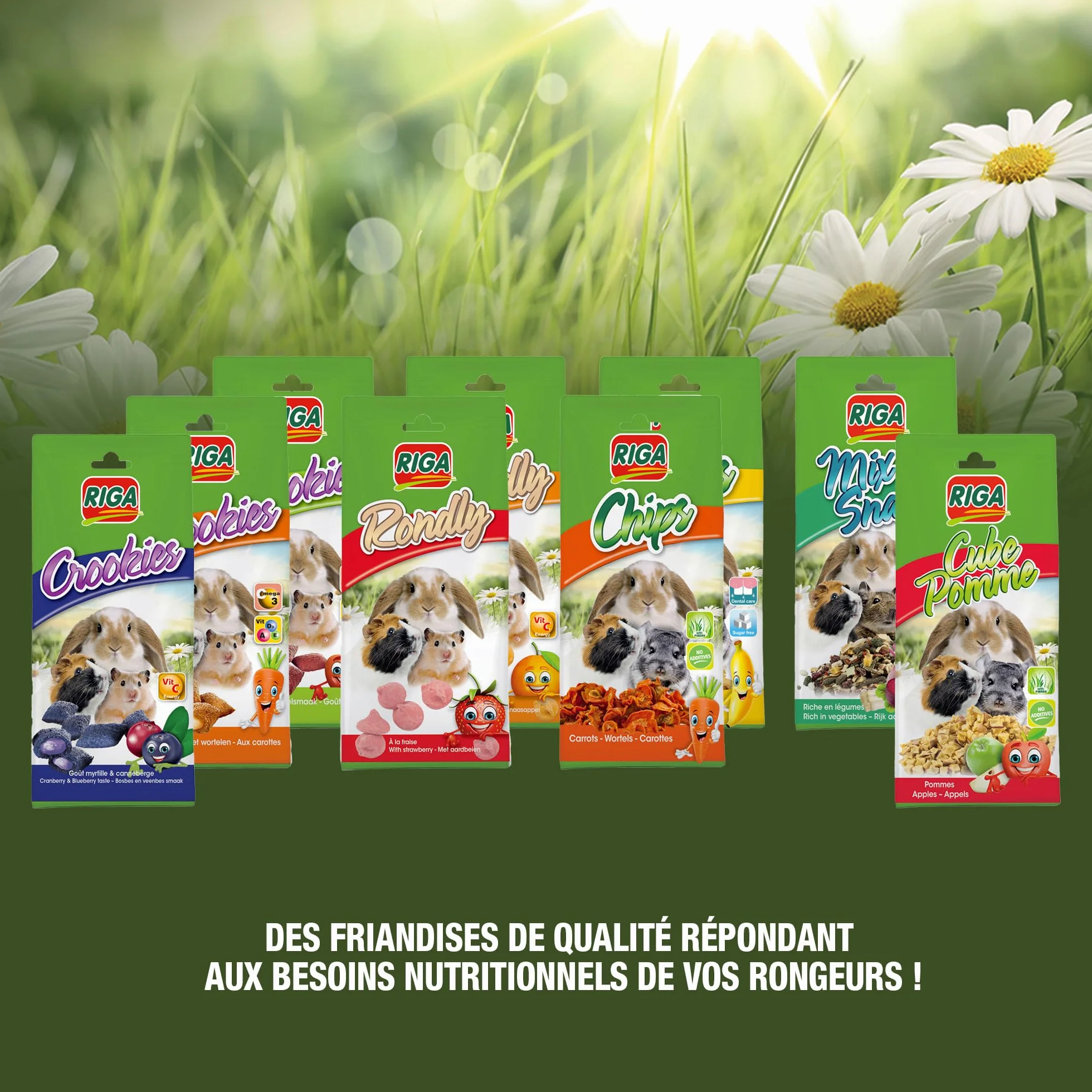 Crookies A La Pomme Aliment Complémentaire pour Rongeurs Biscuit Croquant 50G