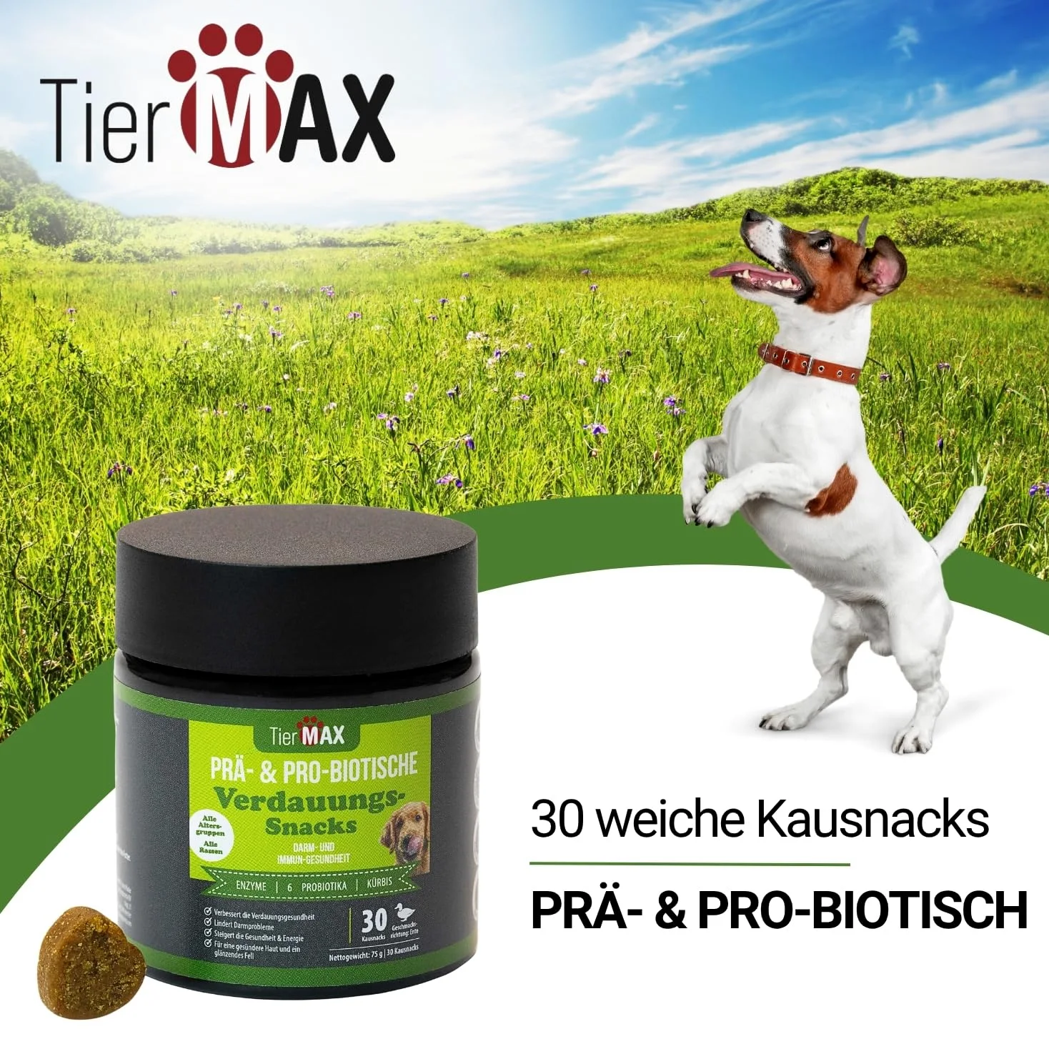 Friandises digestives pré & probiotiques pour chiens - (2 x 30 friandises douces pour chiens) - digestion et flore intestinale - Qualité supérieure et naturelle - Probiotiques pour chiens à