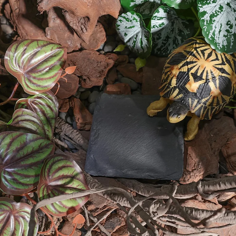 Lot de 2 Plateaux en Ardoise Naturelle pour Reptile - Noir