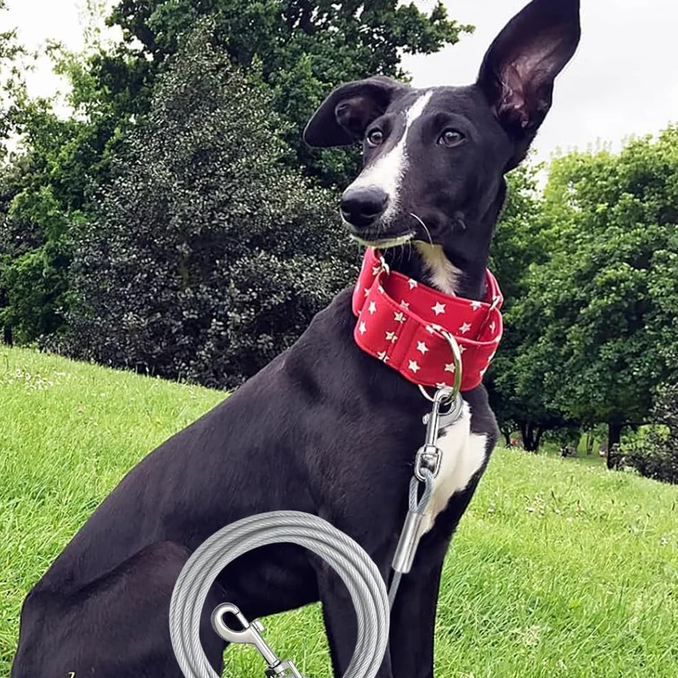 Laisse Chaîne pour Chien Anti-Morsure 80kg 3m - Attache Chien Extérieur Résistant à la Mastication, Imperméable