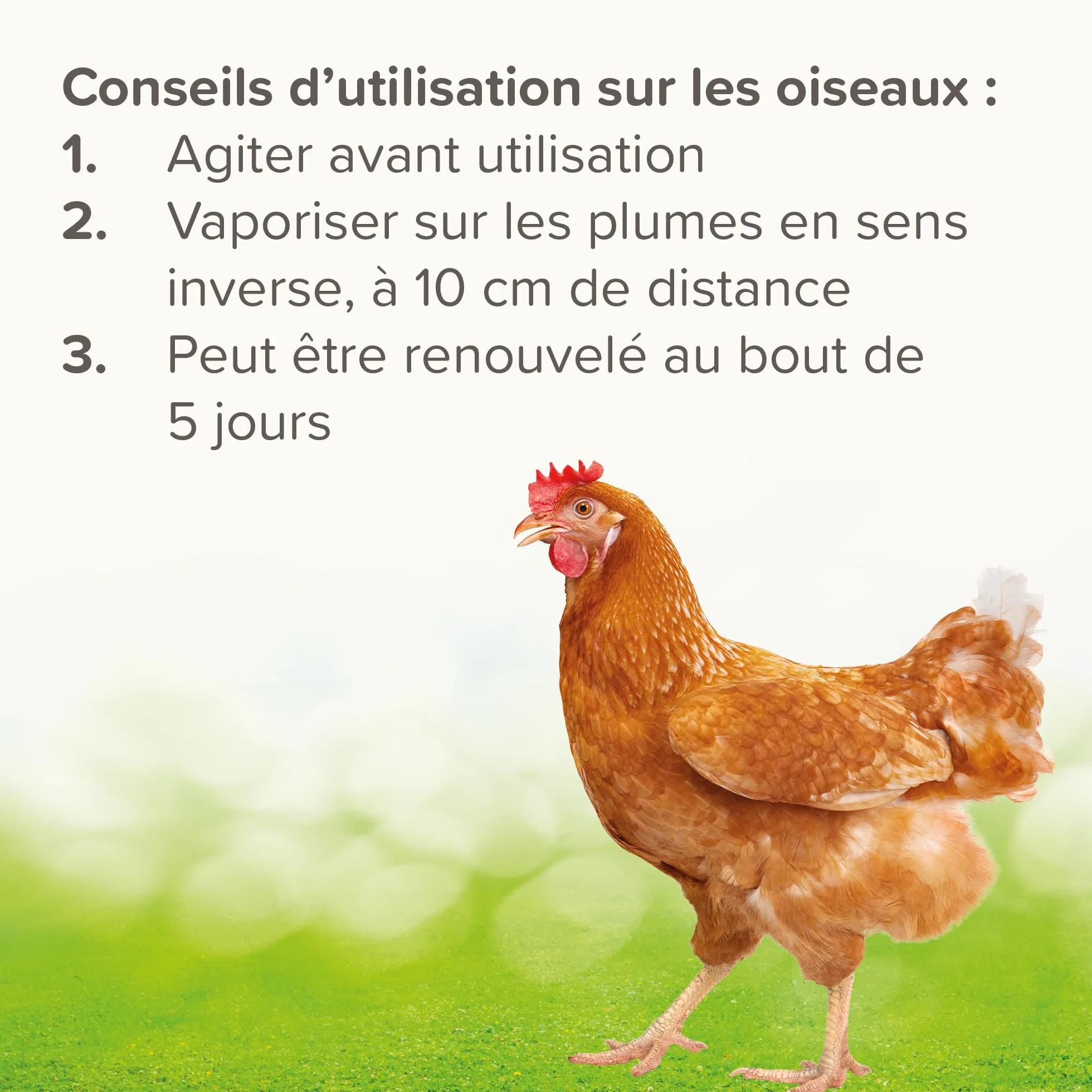 Beaphar Spray Stop poux Rouges 500ml – Immobilise les poux rouges et parasites mécaniquement