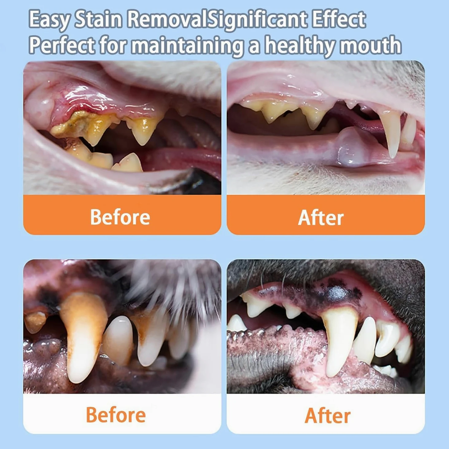Pawbright Dental Plus/Paw Bright Dental