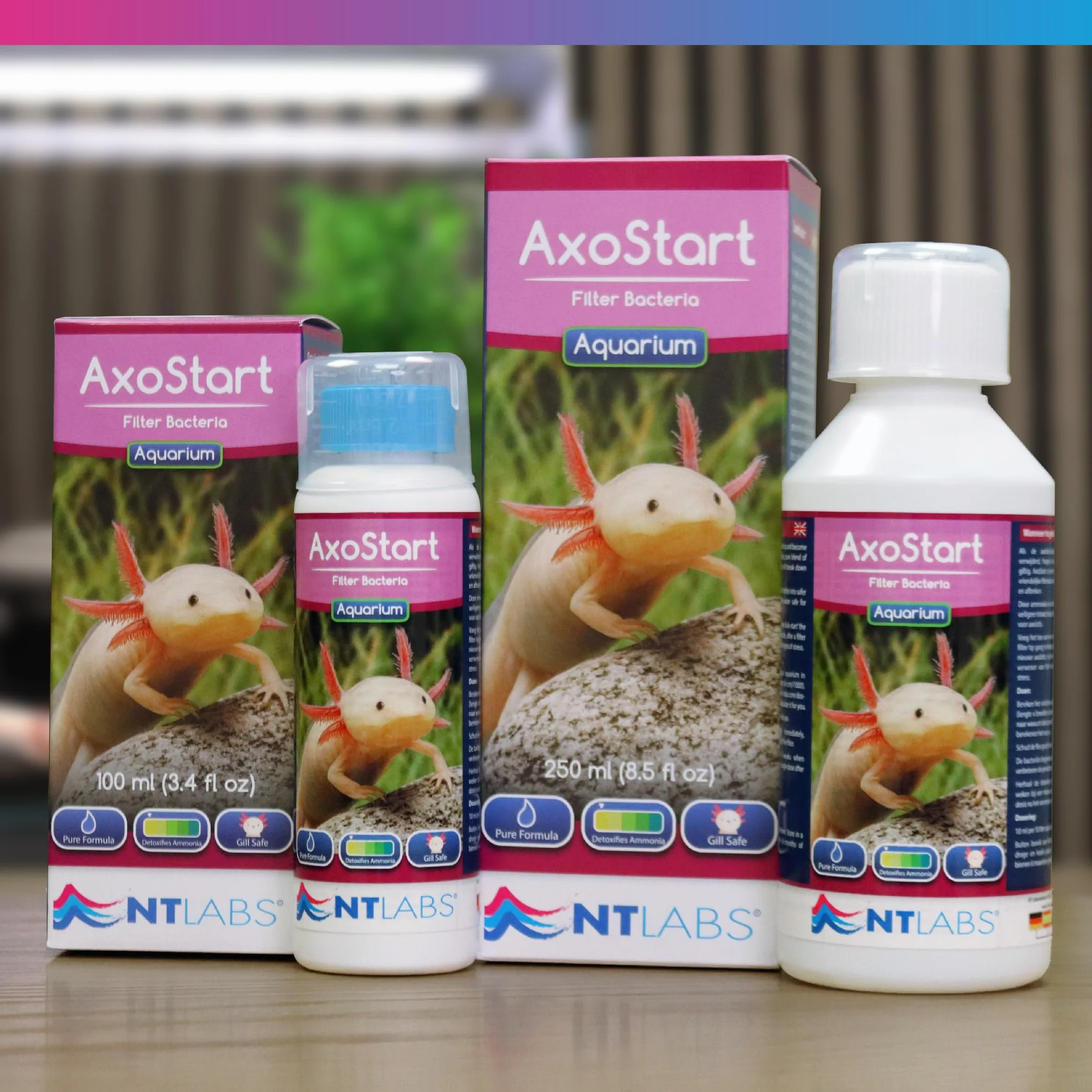 NT Labs Bactéries filtrantes Axolotl, décomposent les déchets d'axolotl toxiques, prévient l'ammoniac et le nitrite, utilisation après l'ajout d'axolotl ou d'un filtre propre (100 ml – traite 500 l)