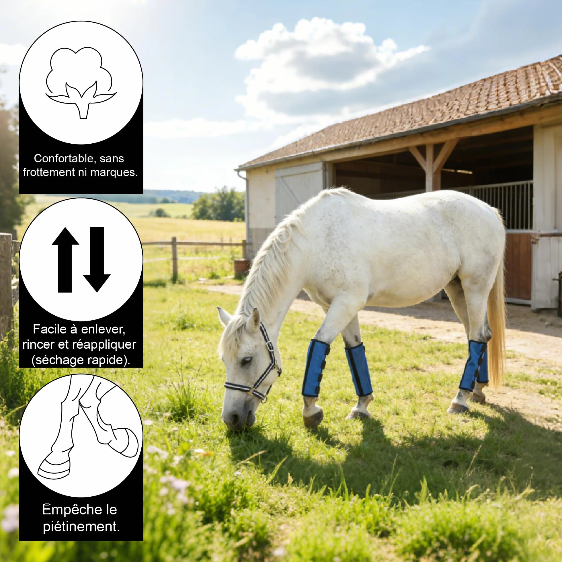 Guêtres Anti-Mouches pour Chevaux Lot de 4, Maille Respirante, Bleu Large