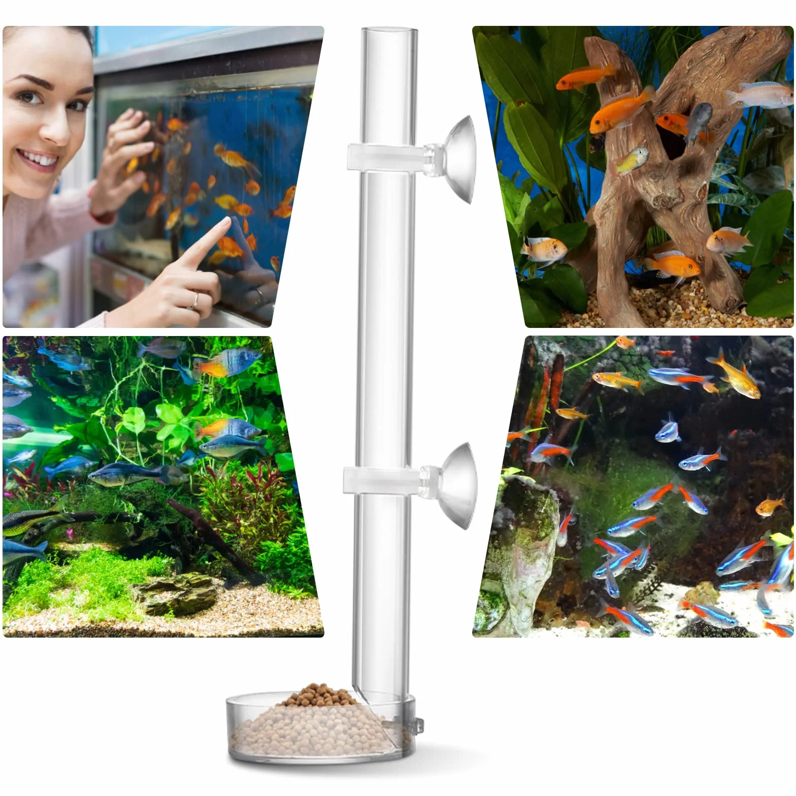 cobee Mangeoire à crevettes en acrylique, mangeoire à crevettes transparente et durable pour poissons d'aquarium - tube de 25 cm et bol d'alimentation de 6,5 cm