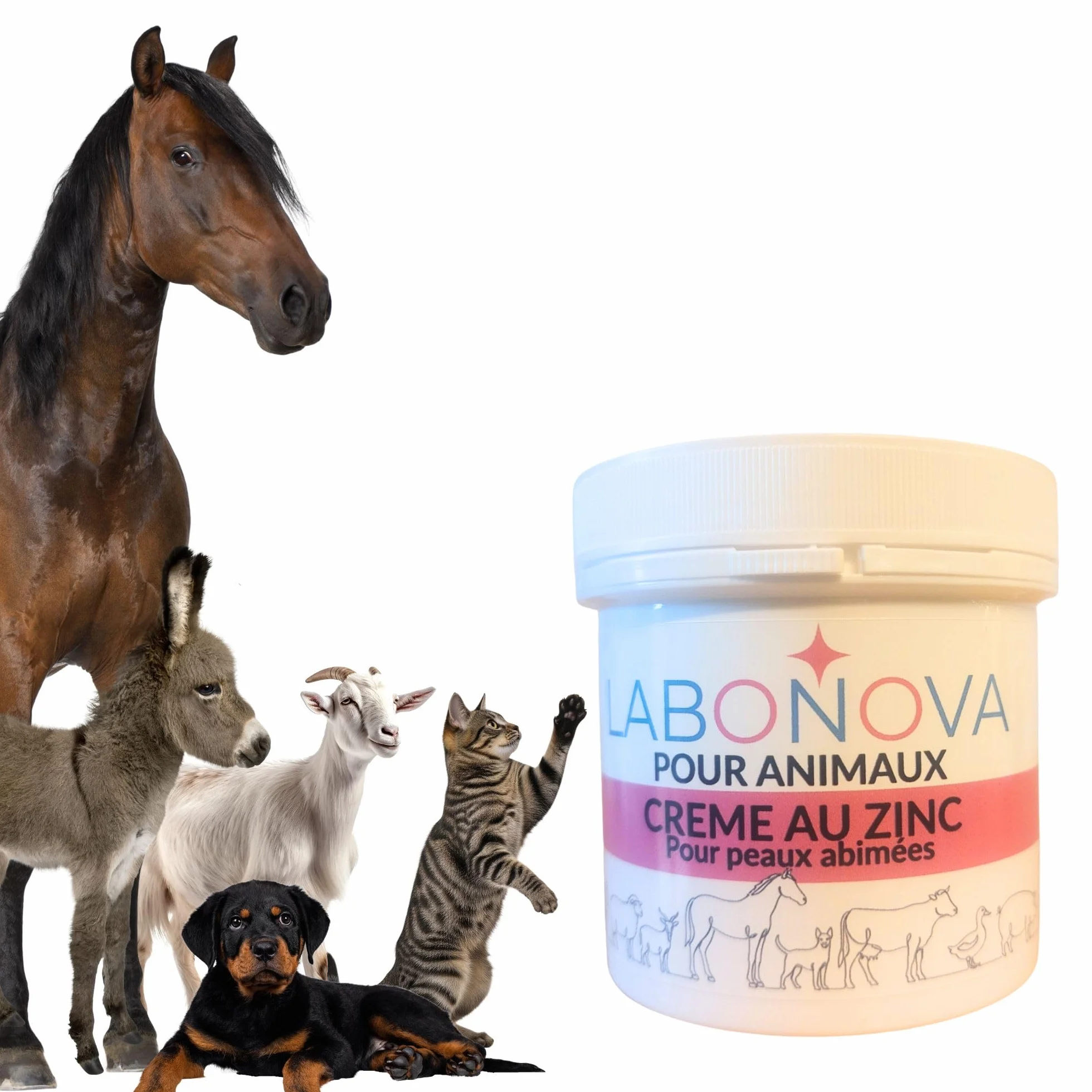 Crème au Zinc pour Animaux 200 mL - Peaux abimées - Protection de la peau - Chevaux, ânes, chiens, chèvres, moutons