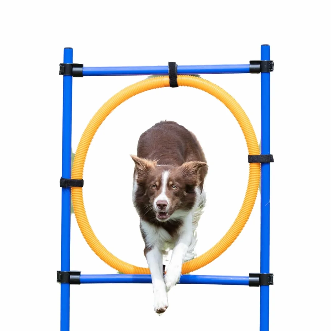 Trixie Dog Activity Anneau Agilité 115 x 3 cm / 65 cm Orange / Bleu