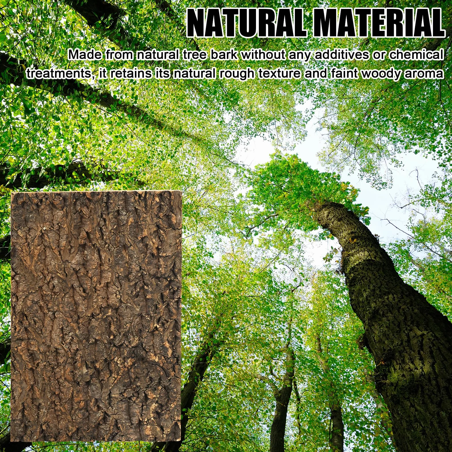 Écorce de liège naturelle 20x30 cm tapis d'escalade pour reptiles terrarium geckos lézards