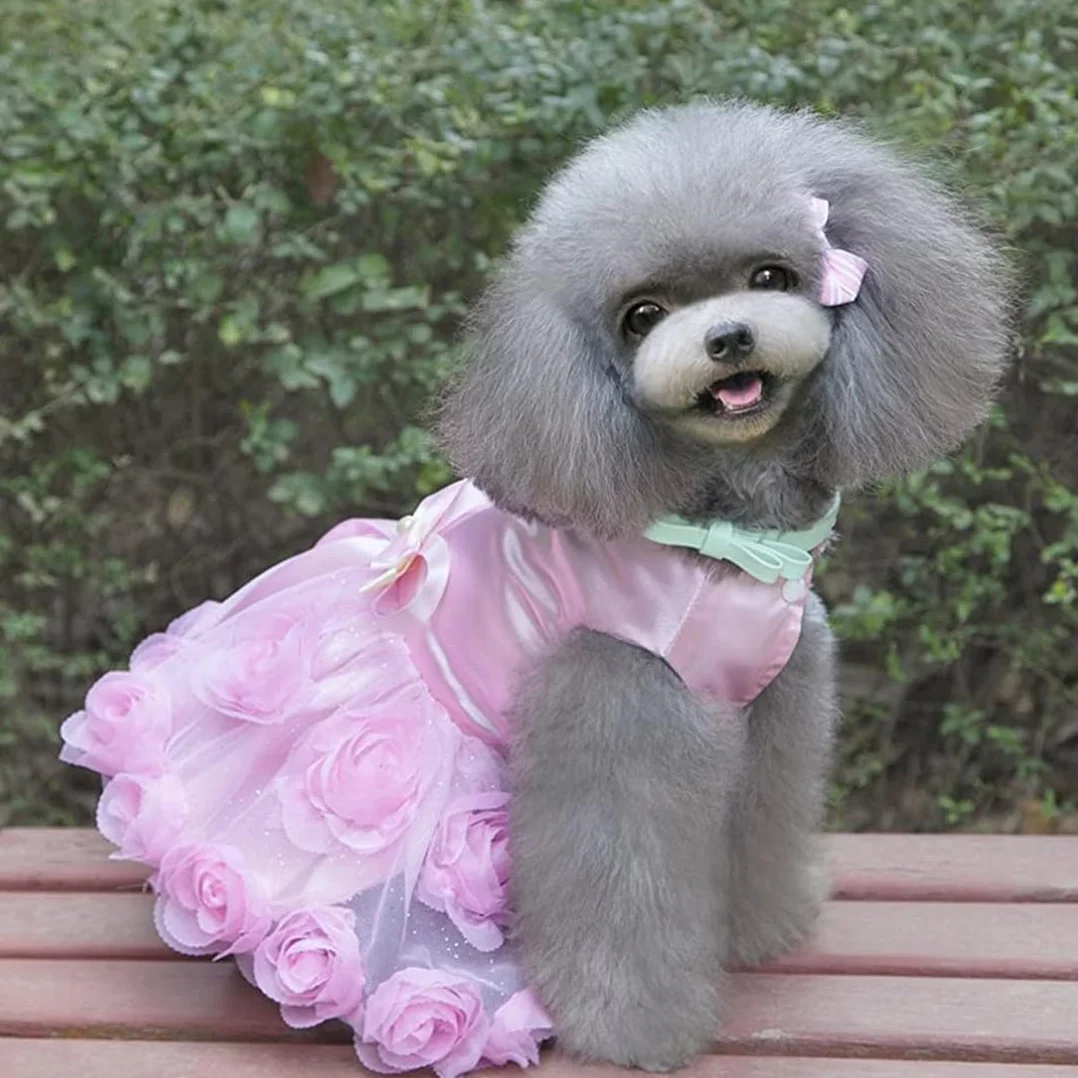 Robe Luxe pour Petit Chien Fille Tutu Jupe Rose Fleur Bowknot