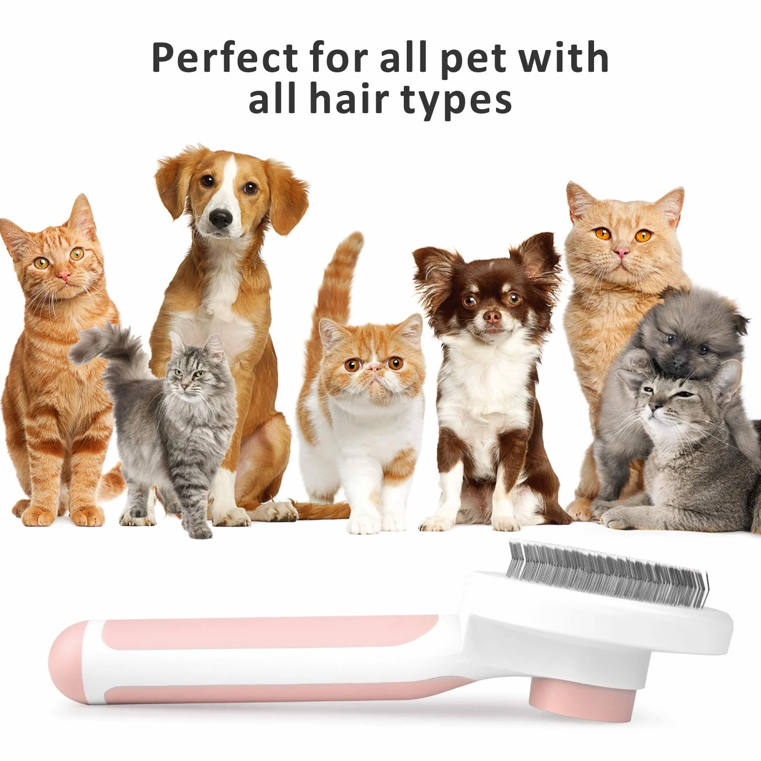 Baytion Brosse Autonettoyante Chiens Chats Long Court Anti-Poil