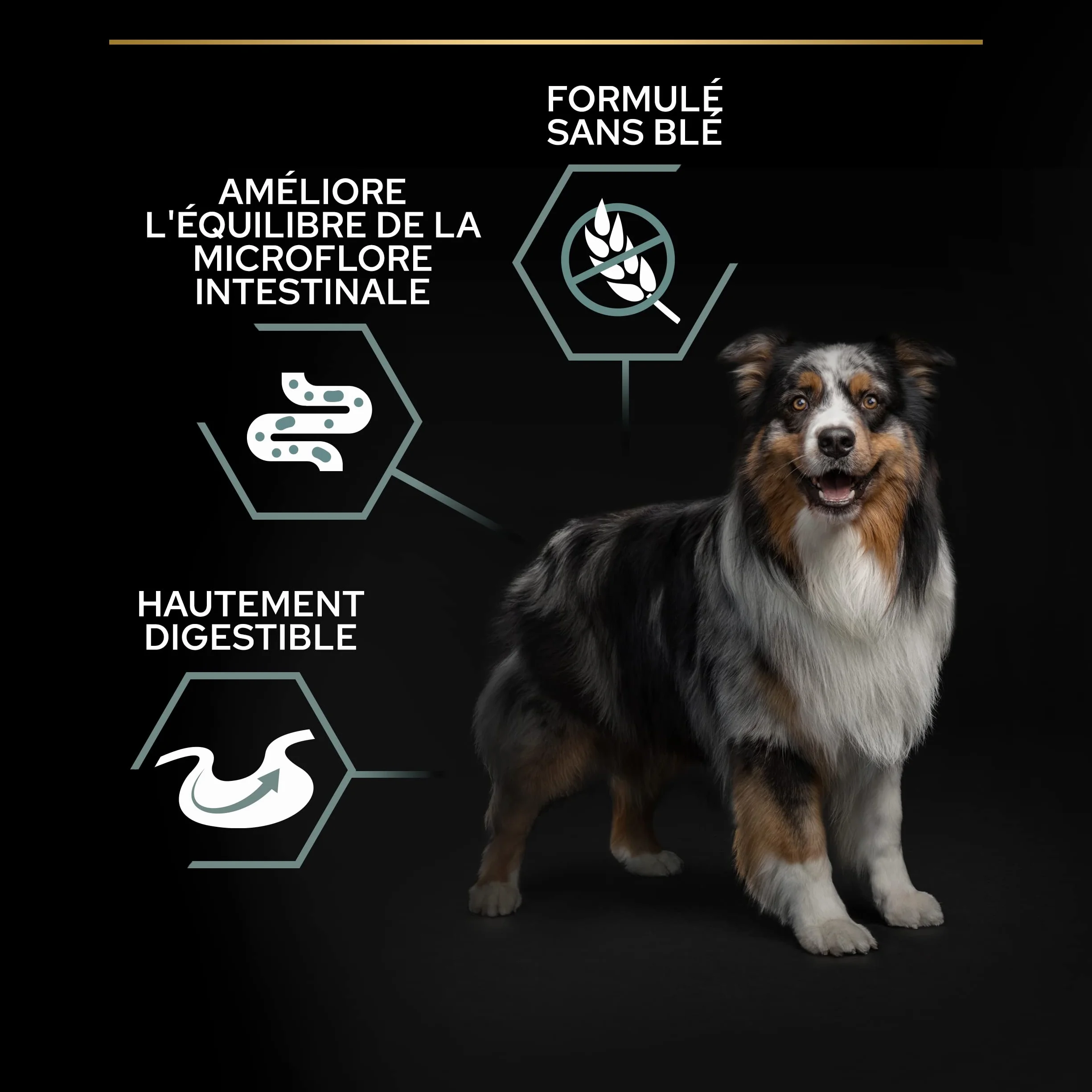 PURINA PRO PLAN Croquettes sans céréales pour chien adulte grande taille Digestion Sensible Dinde 12kg