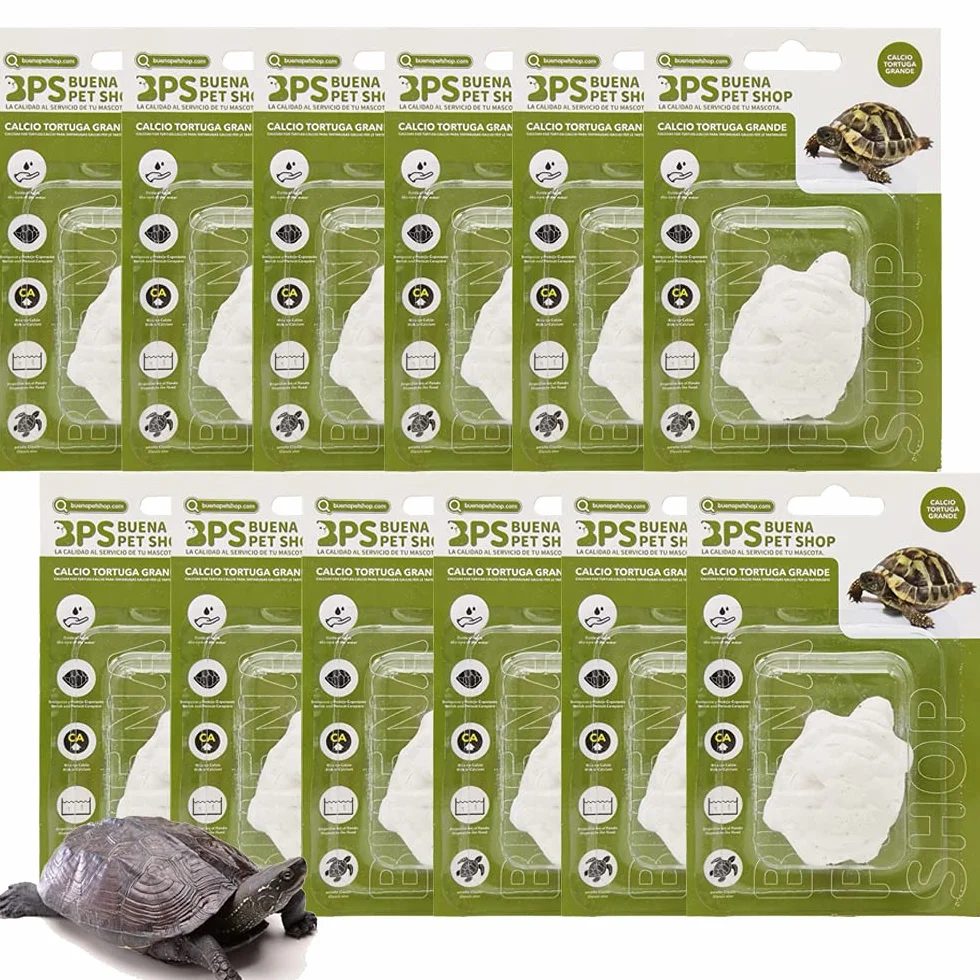 BPS 12 pièces Bloc de Calcium pour Tortues Complément Naturel