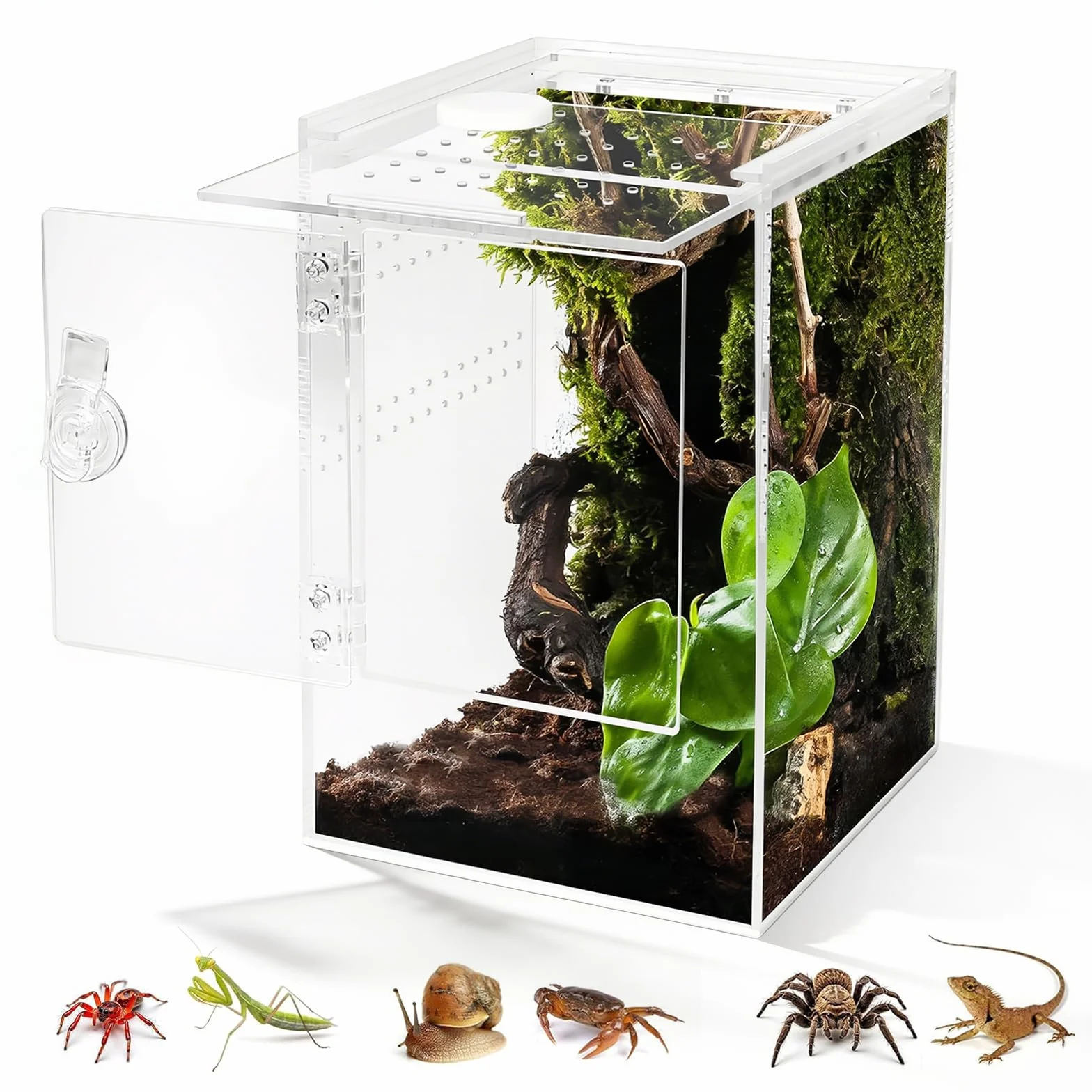 Terrarium Acrylique 23x15x15CM Rectangle 360° Ventilation Croisée Etanche pour Reptiles Araignée Escargots