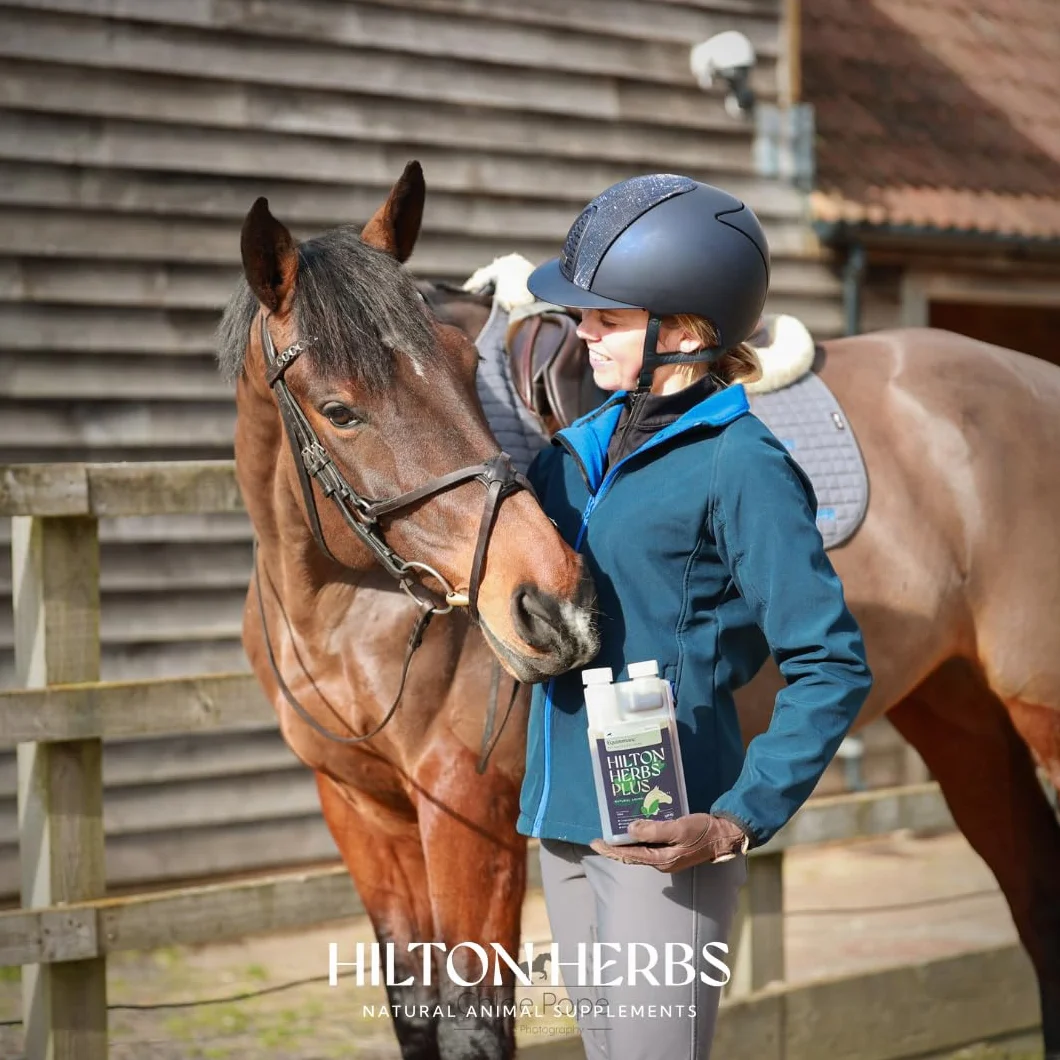 Hilton Herbs Equimmune Gold 1 L Complément Alimentaire Cheval