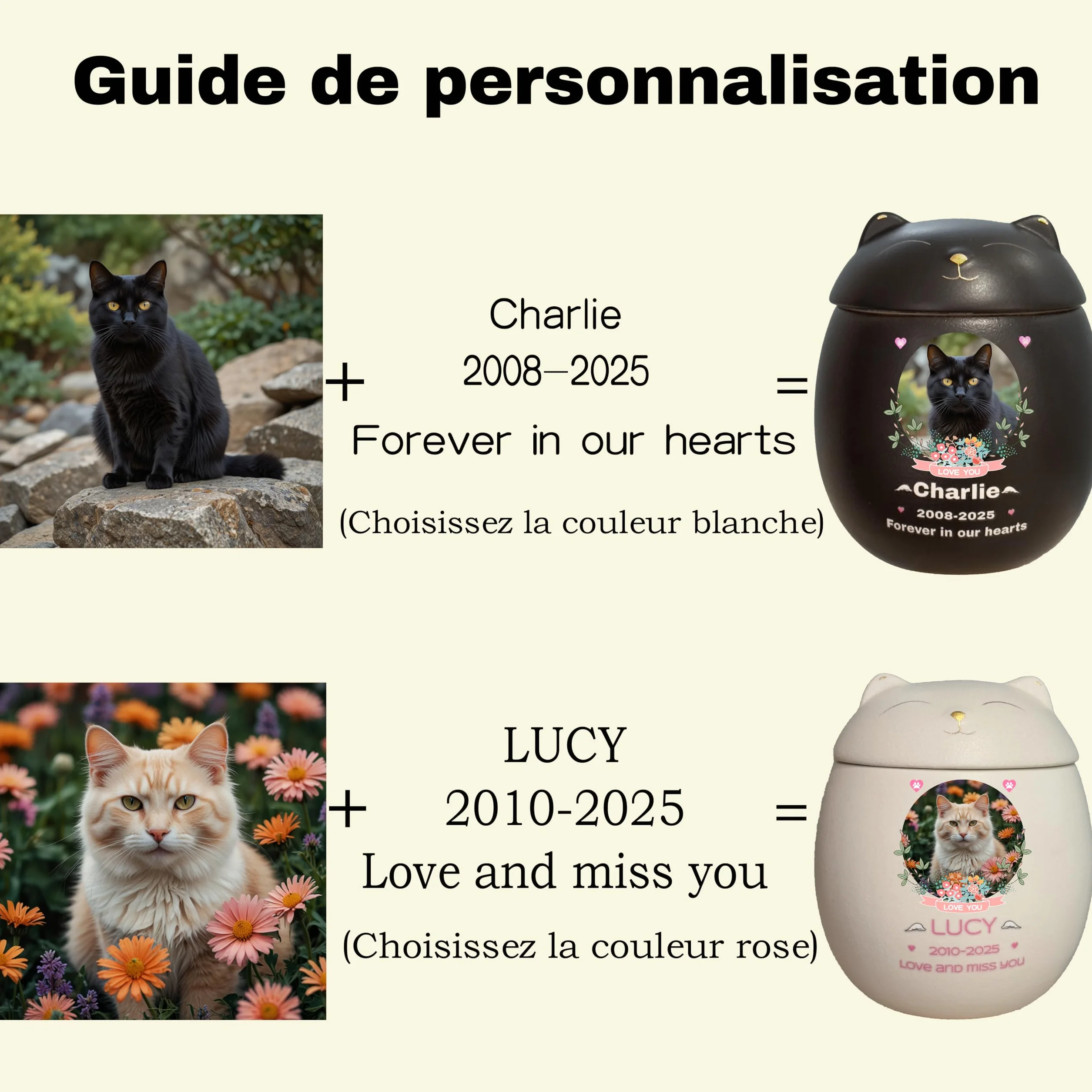 Urne pour Chat Personnalisée Handmade Crémation Cendres (oranger)
