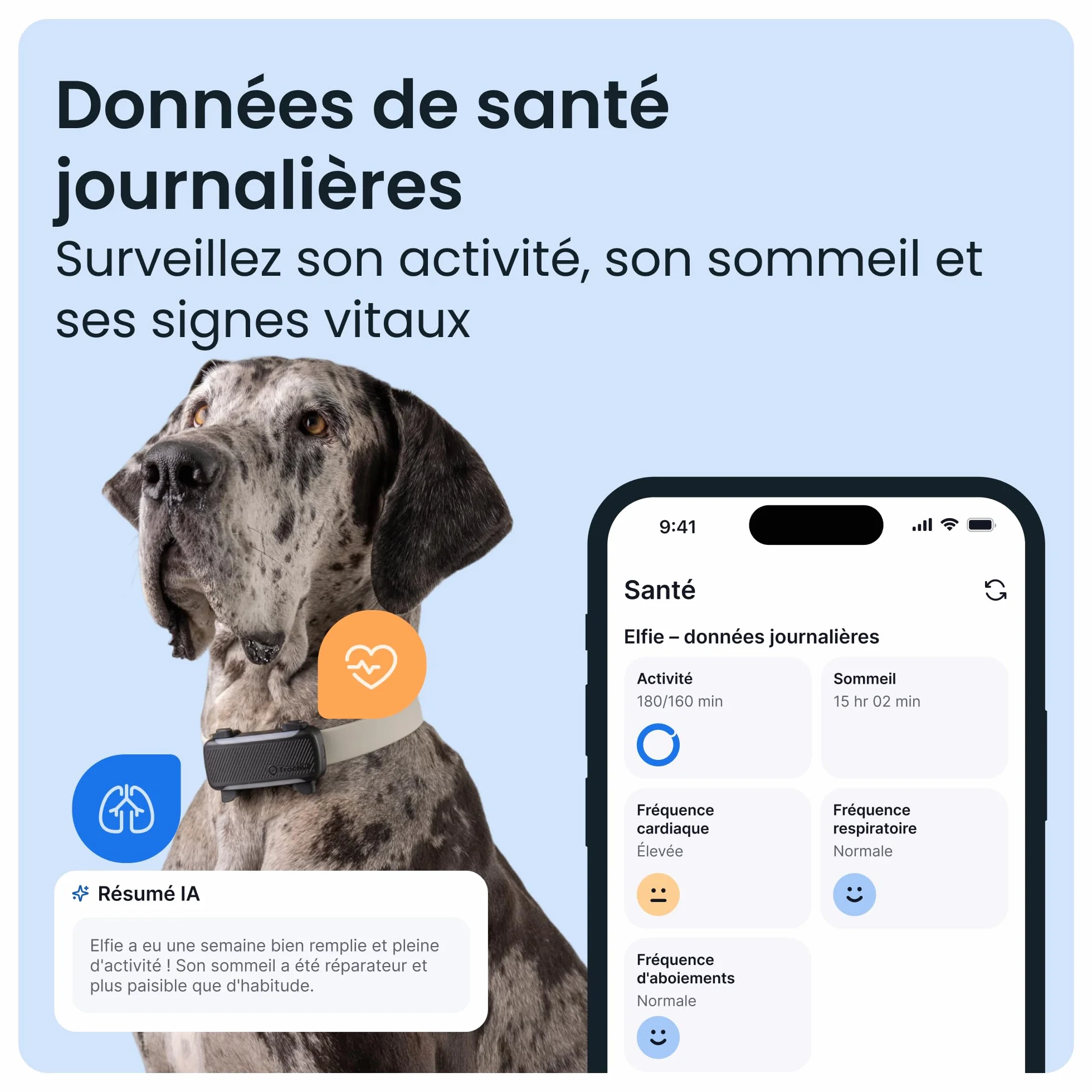 Tractive Collier GPS Chien Connecté XL Édition 2026 Suivi GPS en Direct Alertes Anti-Fugue Santé Moniteur Signes Vitaux Grande Autonomie Noir