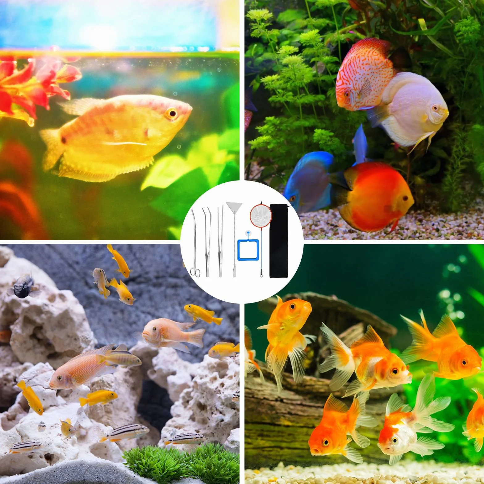 Kit complet d'aquascaping 6PCS, Outils d'aquarium en acier inoxydable, Ciseaux, Pinces, Spatule avec sac de rangement