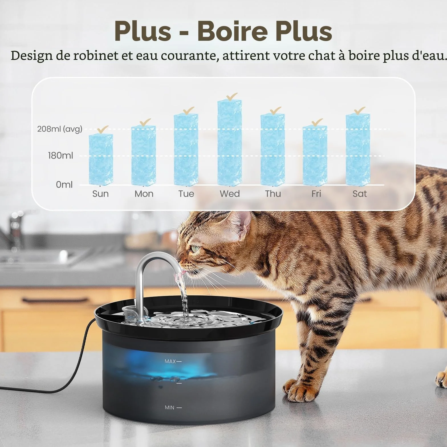 Fontaine à Eau pour Chat 2,5L avec Pompe Silencieuse et Filtre à Carbone Actif