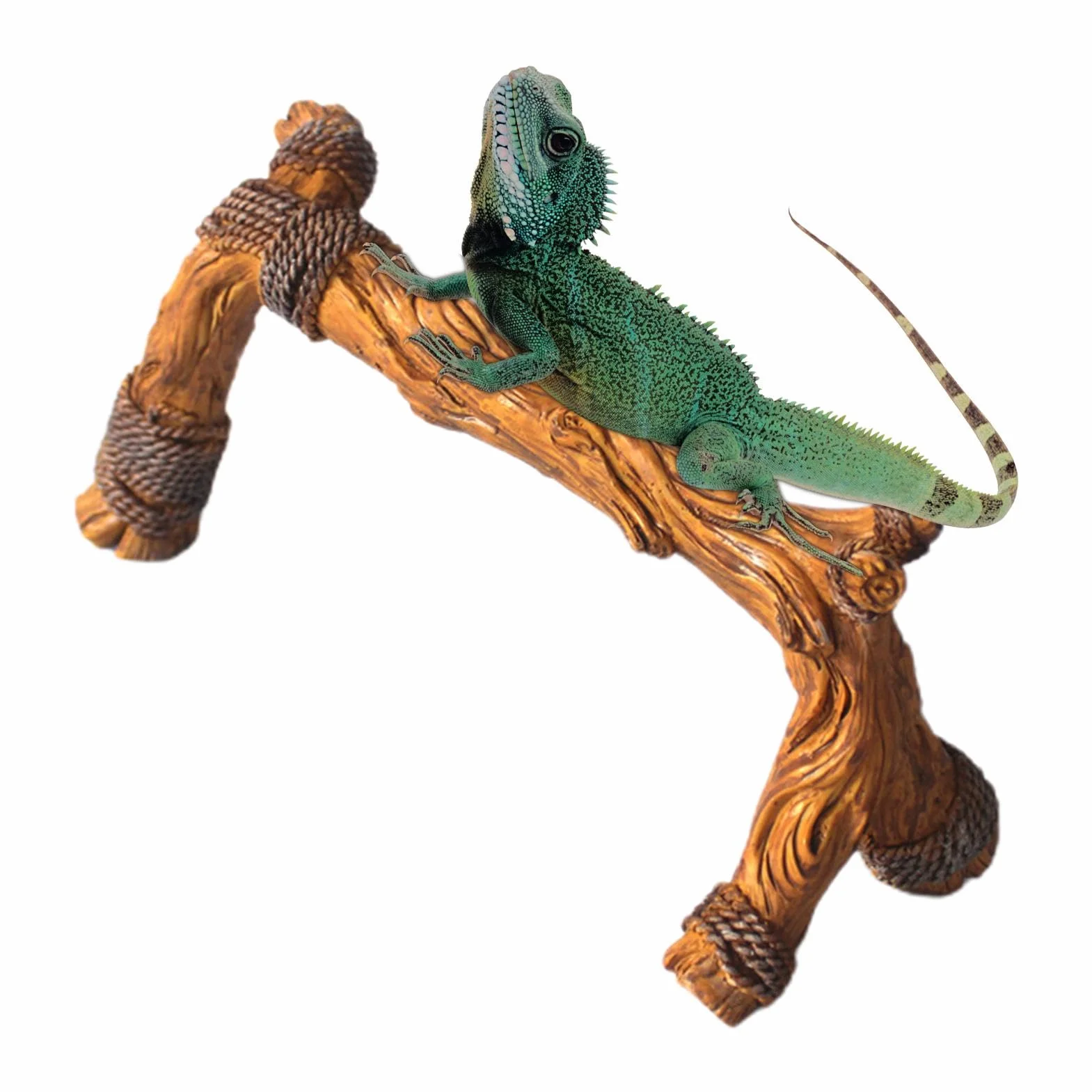 Branches de Bois Épaisses pour Reptile – Décorations d'Habitat de Serpent, Branches Grimpantes de Terrarium en Bois, Ornement de Tronc d'Arbre