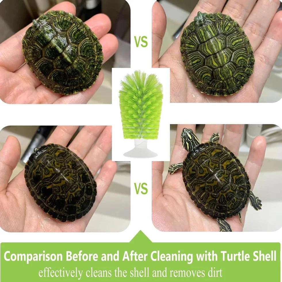Brosses à tortue ventouse lot de 2 exfoliante rayures dos coquille écailles