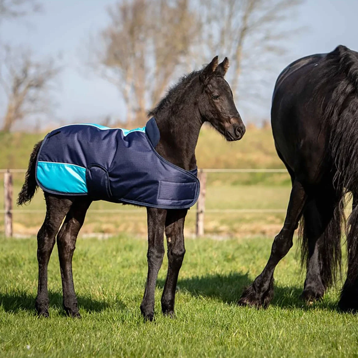 Harry's Horse Couverture poulain TwoTone 100-150 cm