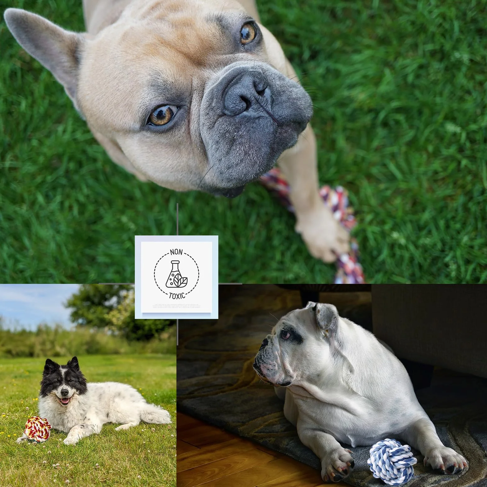 Lot de 15 Jouets en Corde pour Petits Chiens, Jouets à Tirer pour Chiots, Dentition et Interaction