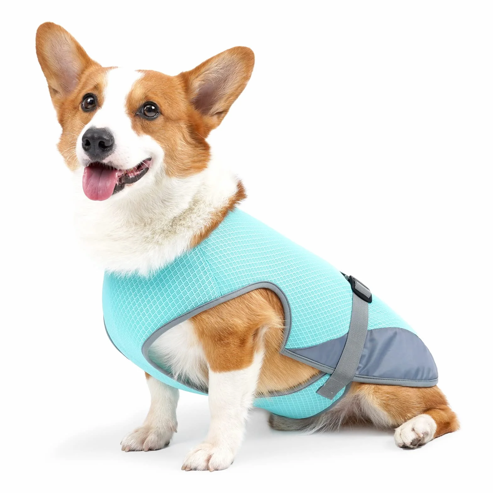 Gilet rafraîchissant chien manteau protection solaire été gilet glace maille respirante vêtements chiens sangles réglables taille moyenne grande